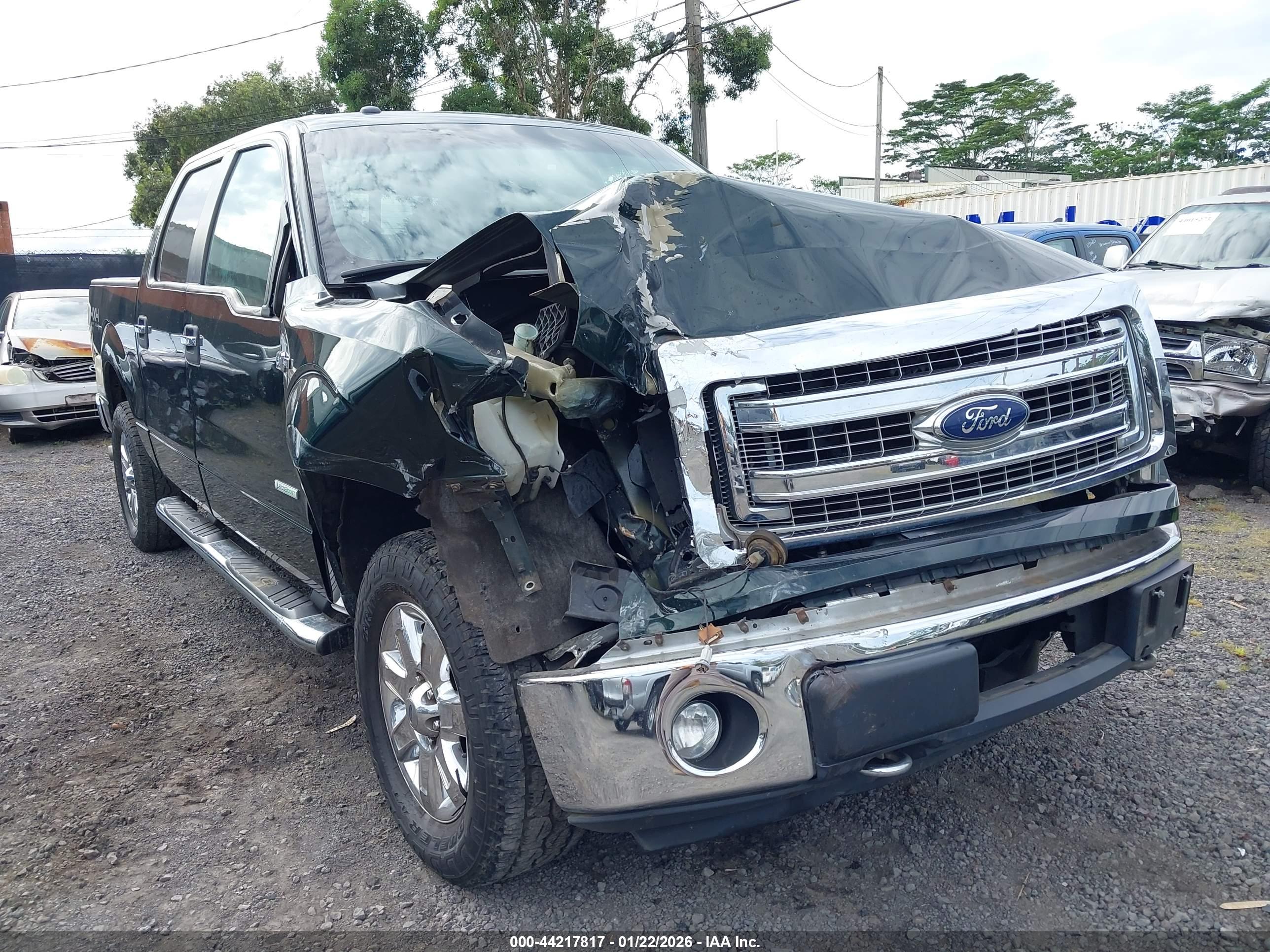 FORD F-150 image 6