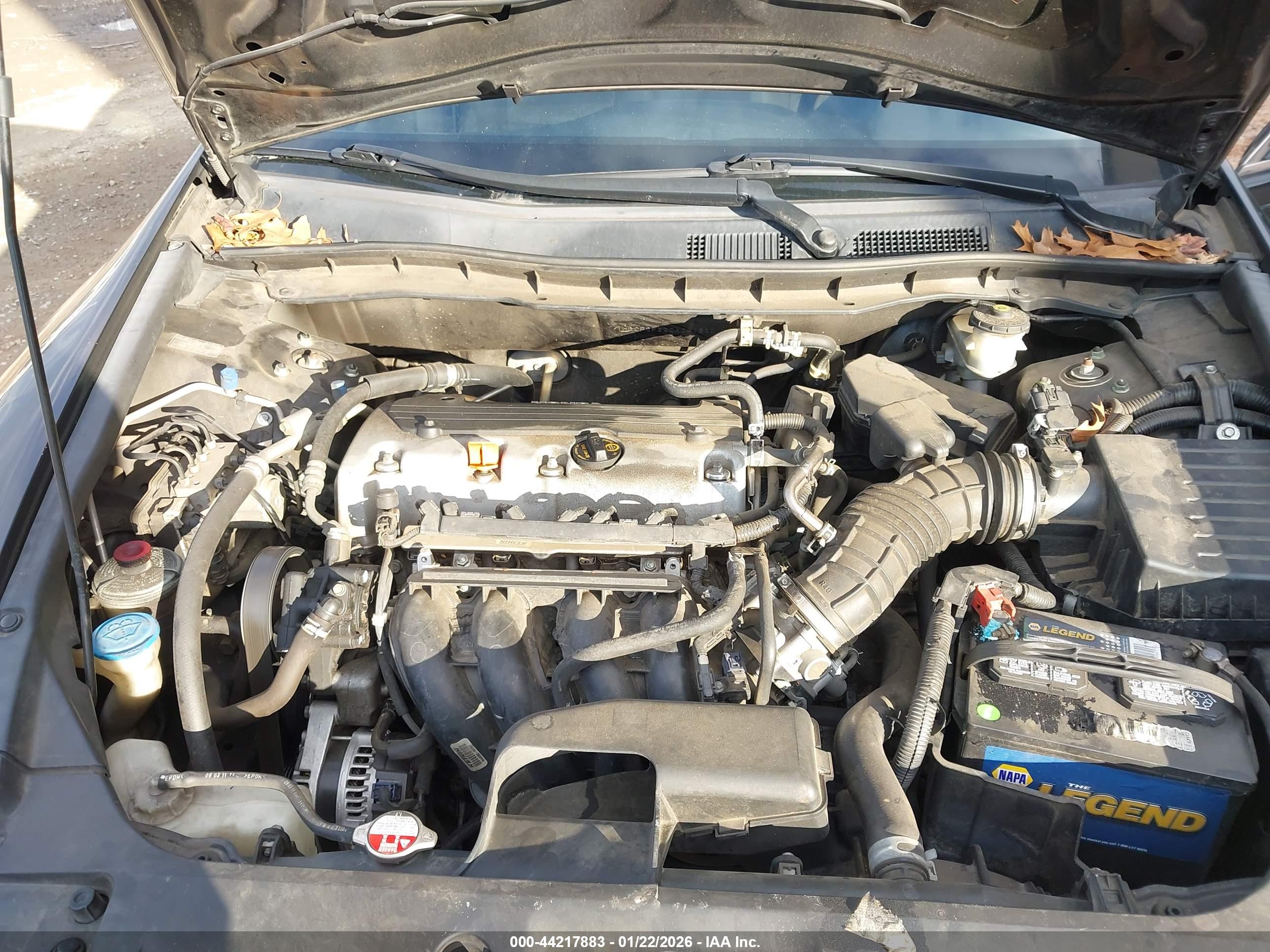 HONDA ACCORD image 10