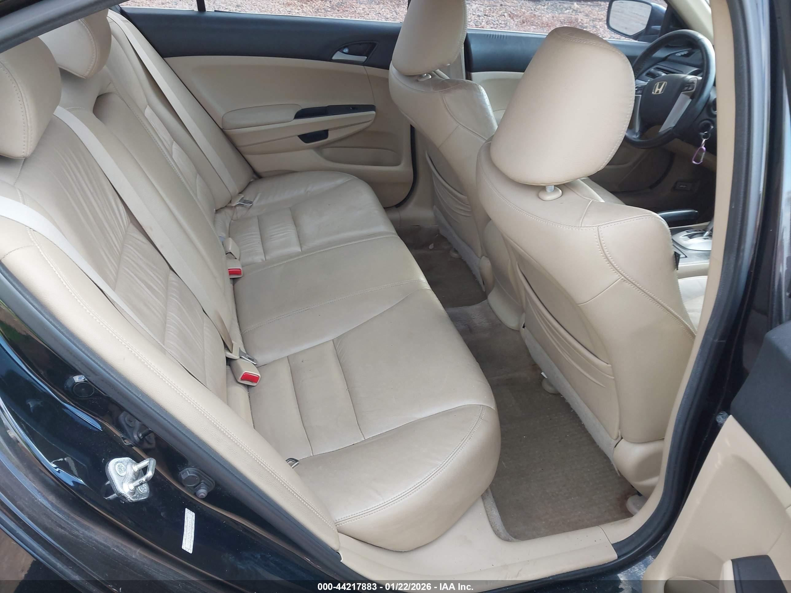 HONDA ACCORD image 8