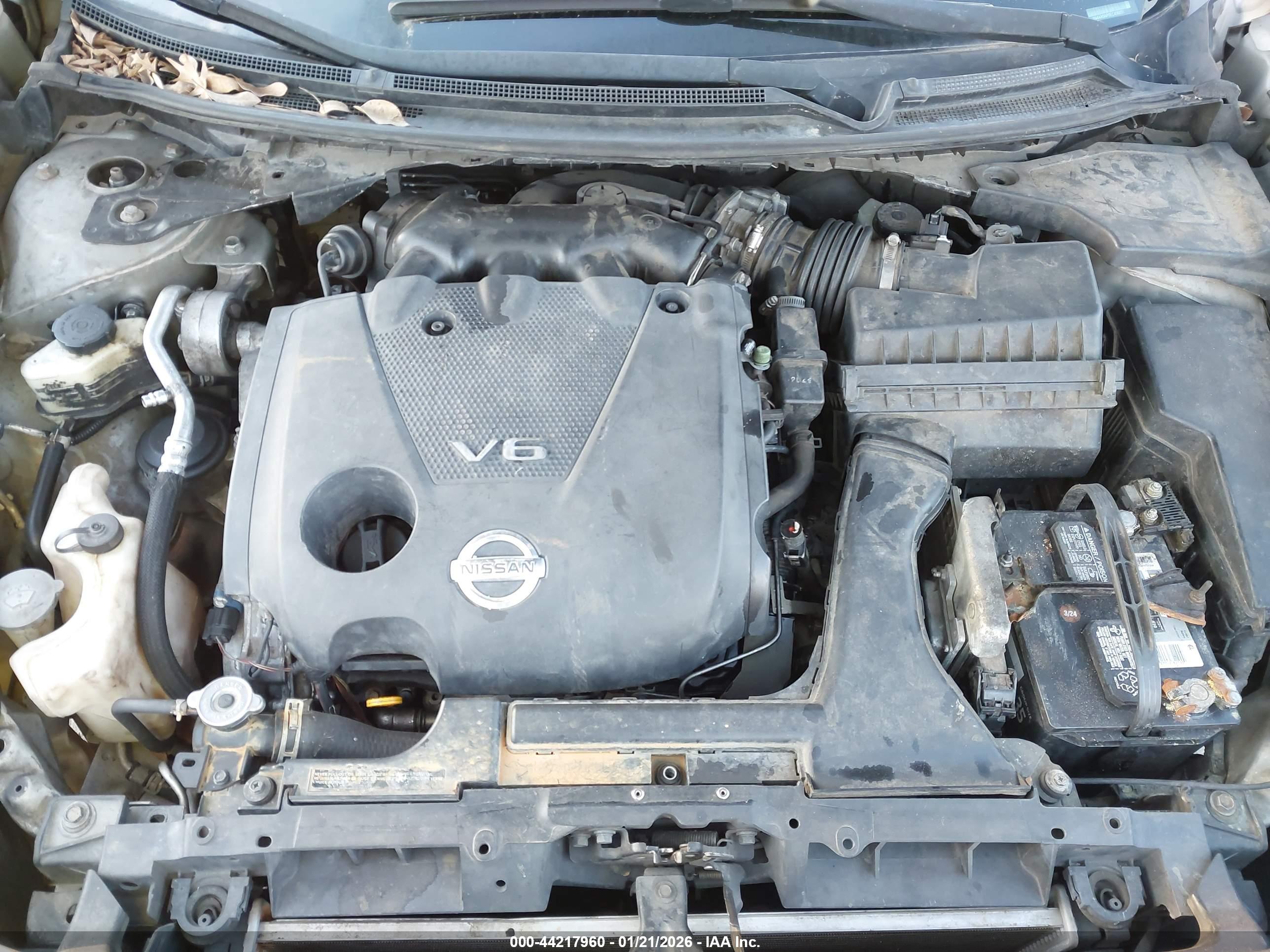 NISSAN MAXIMA image 10