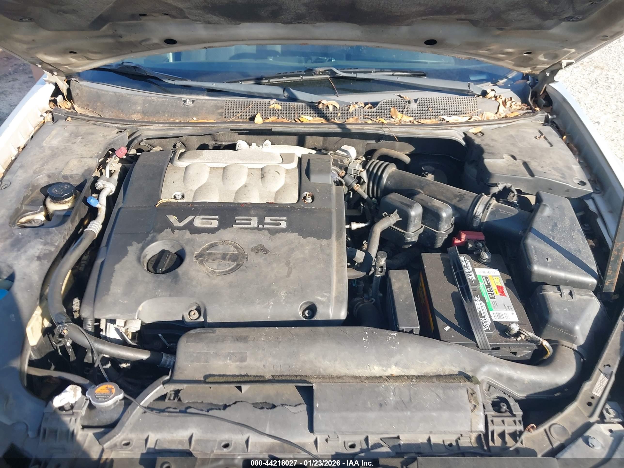 NISSAN MAXIMA image 10