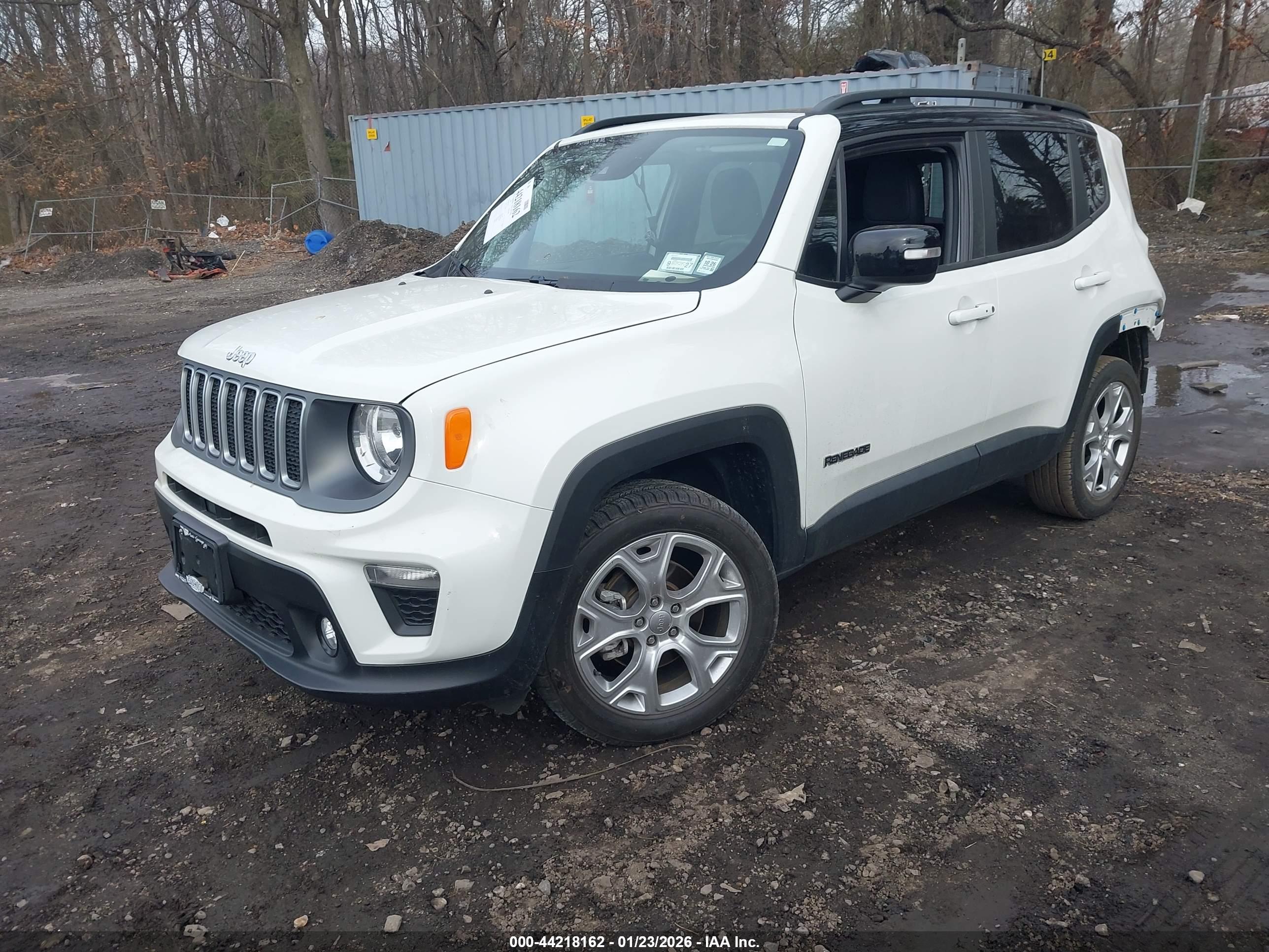 JEEP RENEGADE image 2