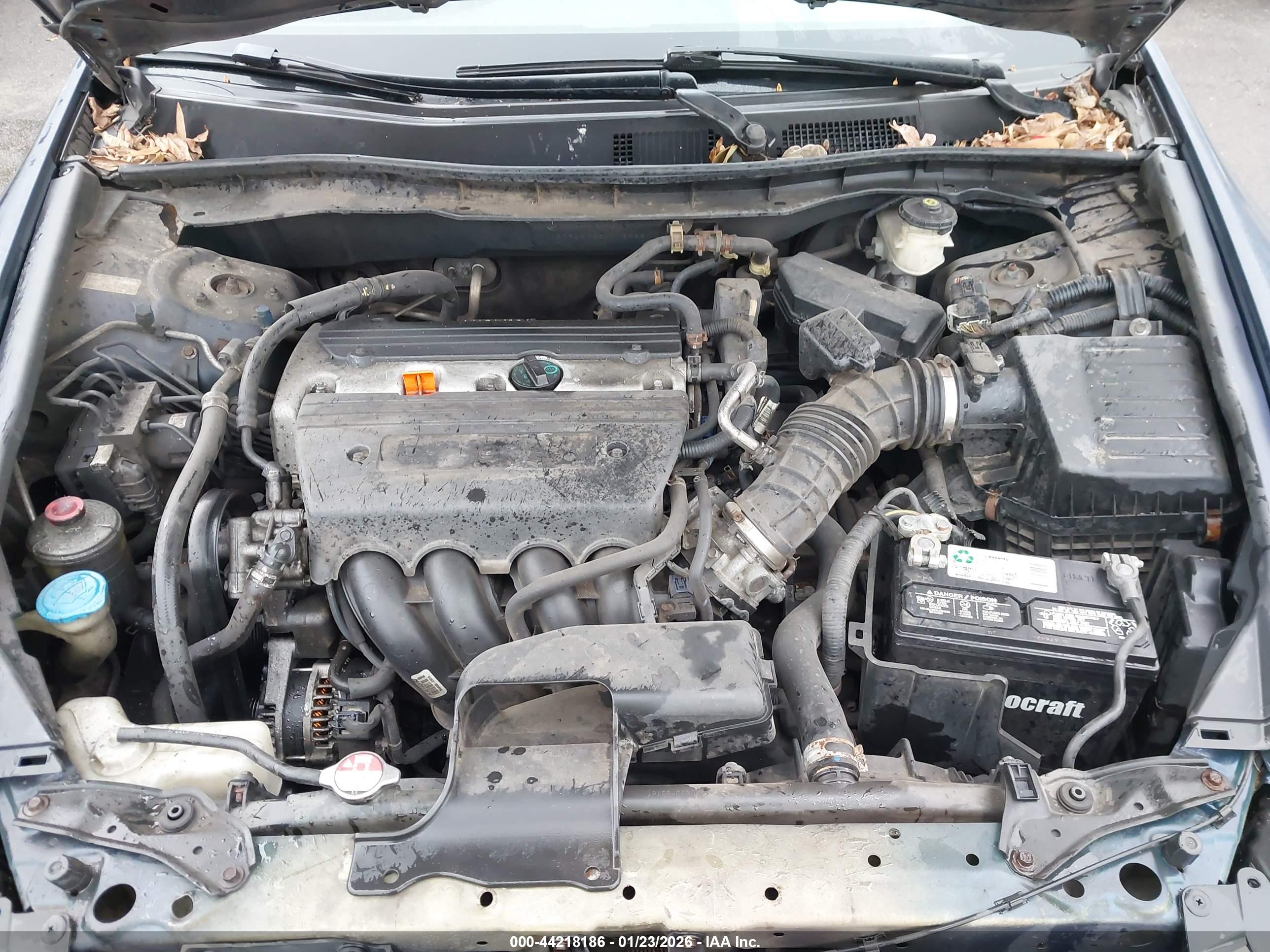HONDA ACCORD image 10