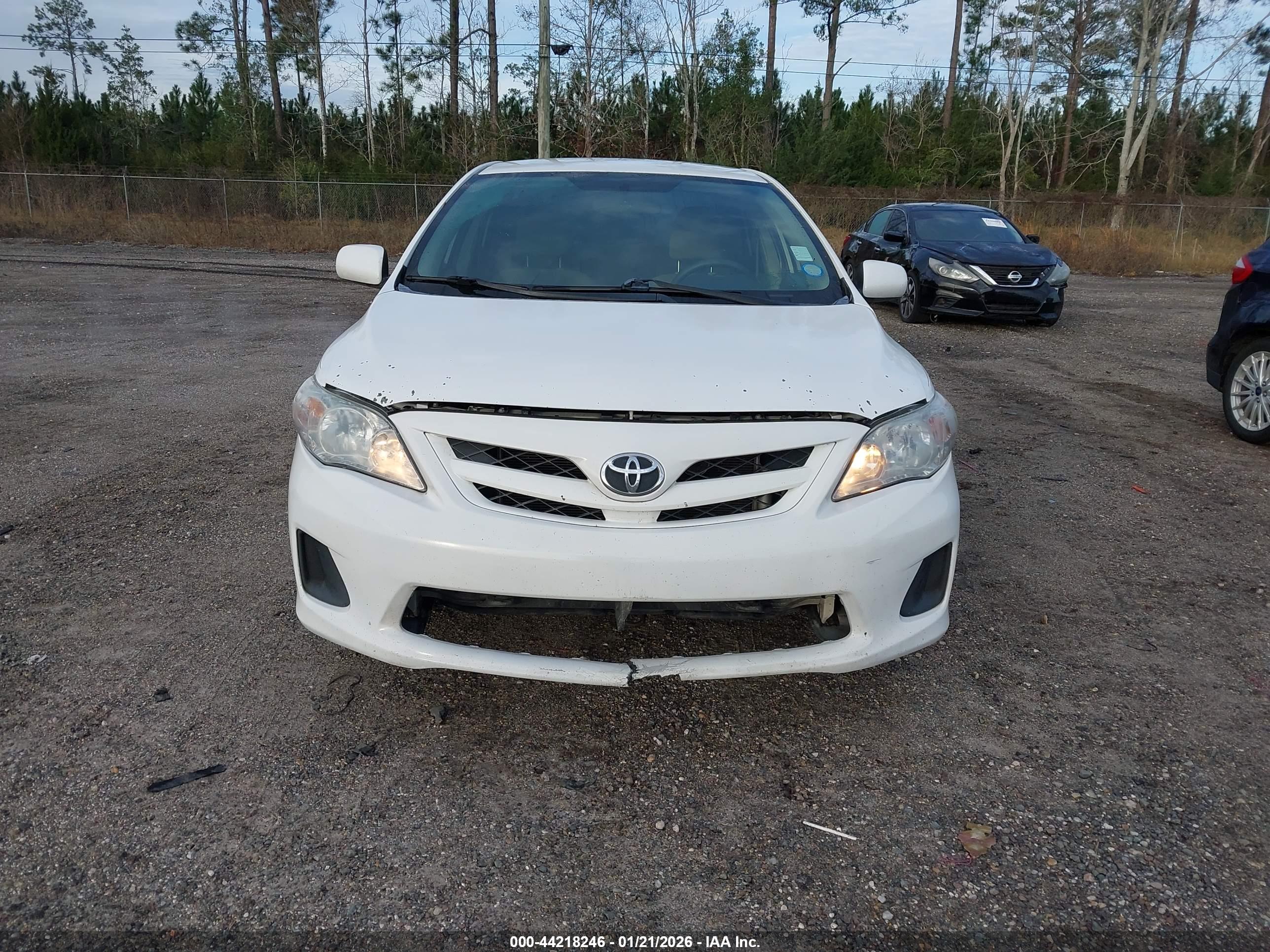 TOYOTA COROLLA image 6