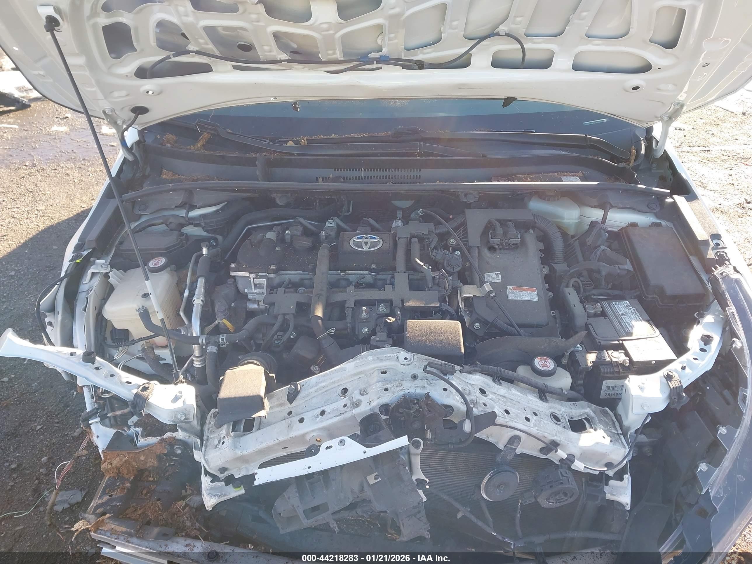 TOYOTA COROLLA image 10