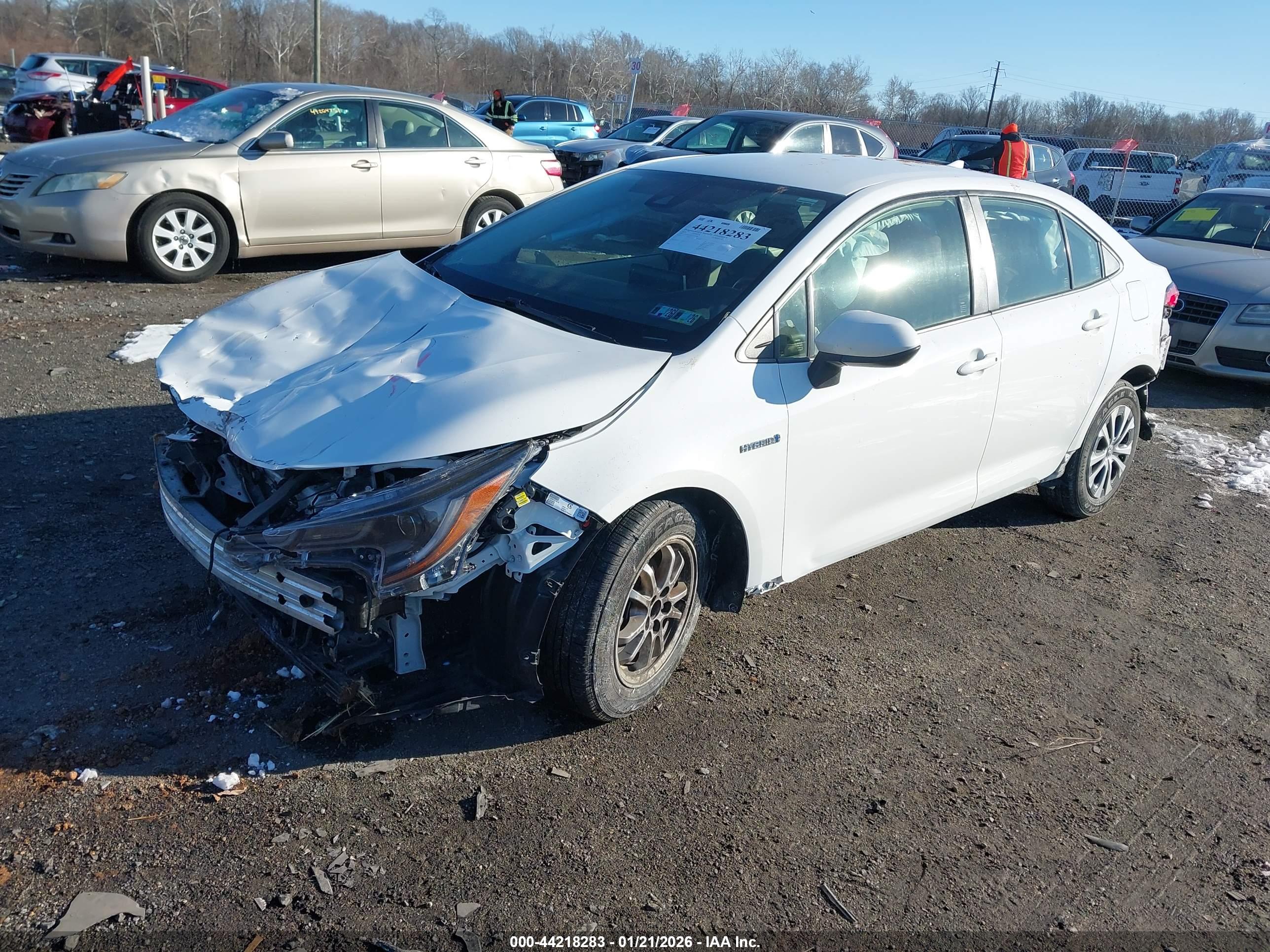 TOYOTA COROLLA image 2