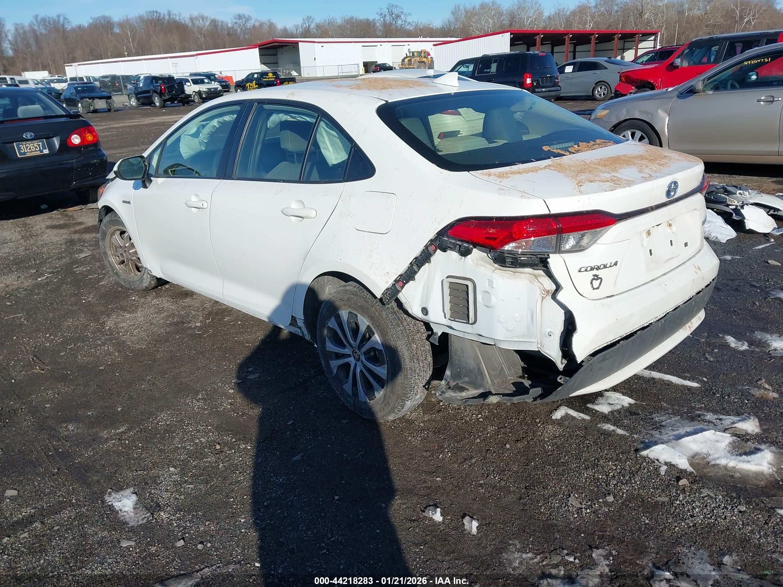 TOYOTA COROLLA image 3