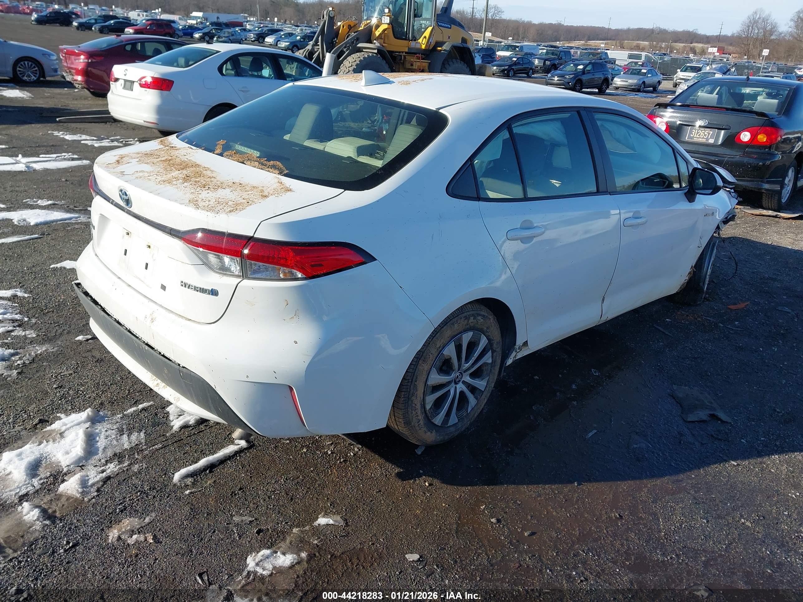 TOYOTA COROLLA image 4