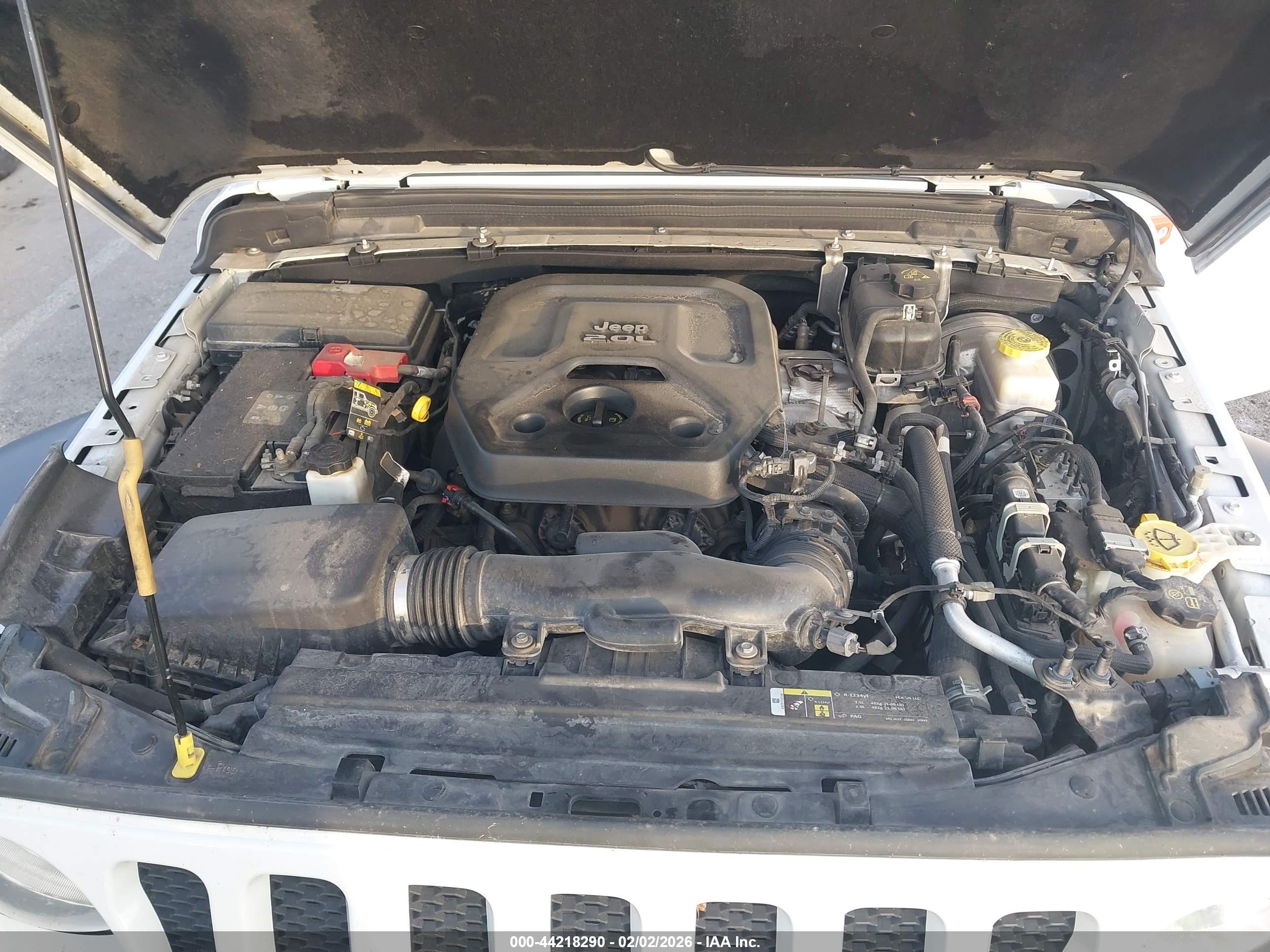 JEEP WRANGLER image 10