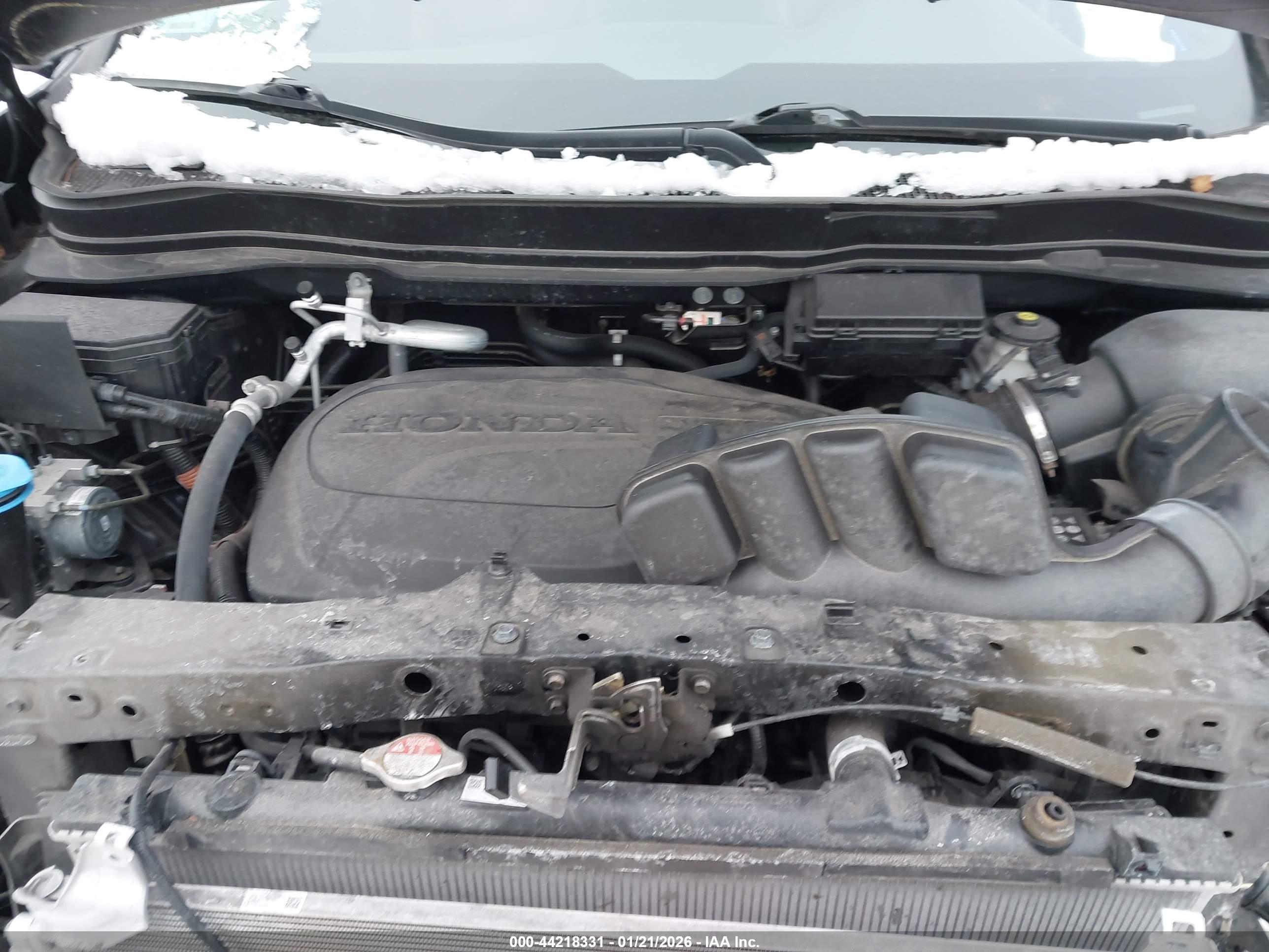 HONDA PASSPORT image 10
