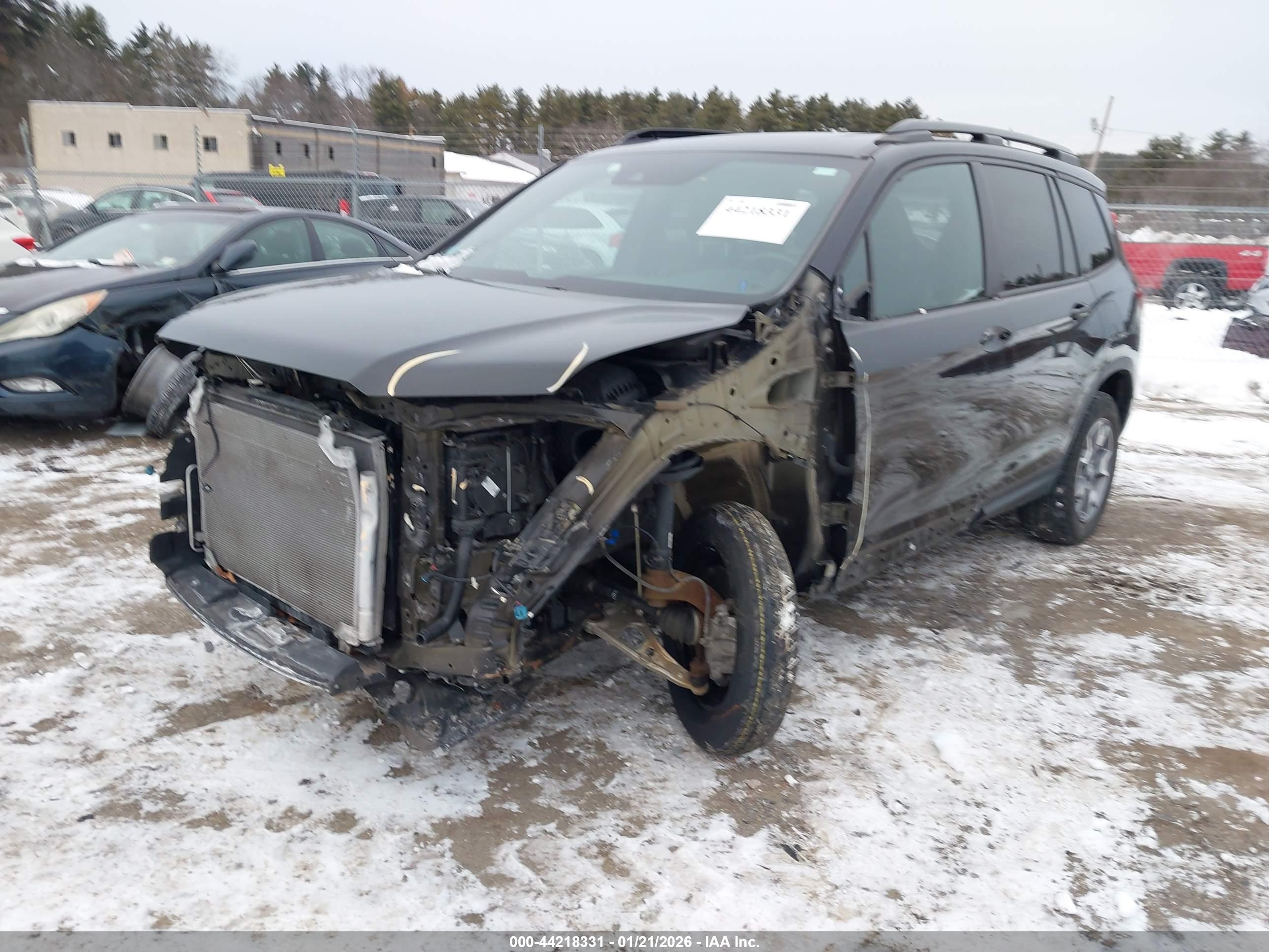 HONDA PASSPORT image 6