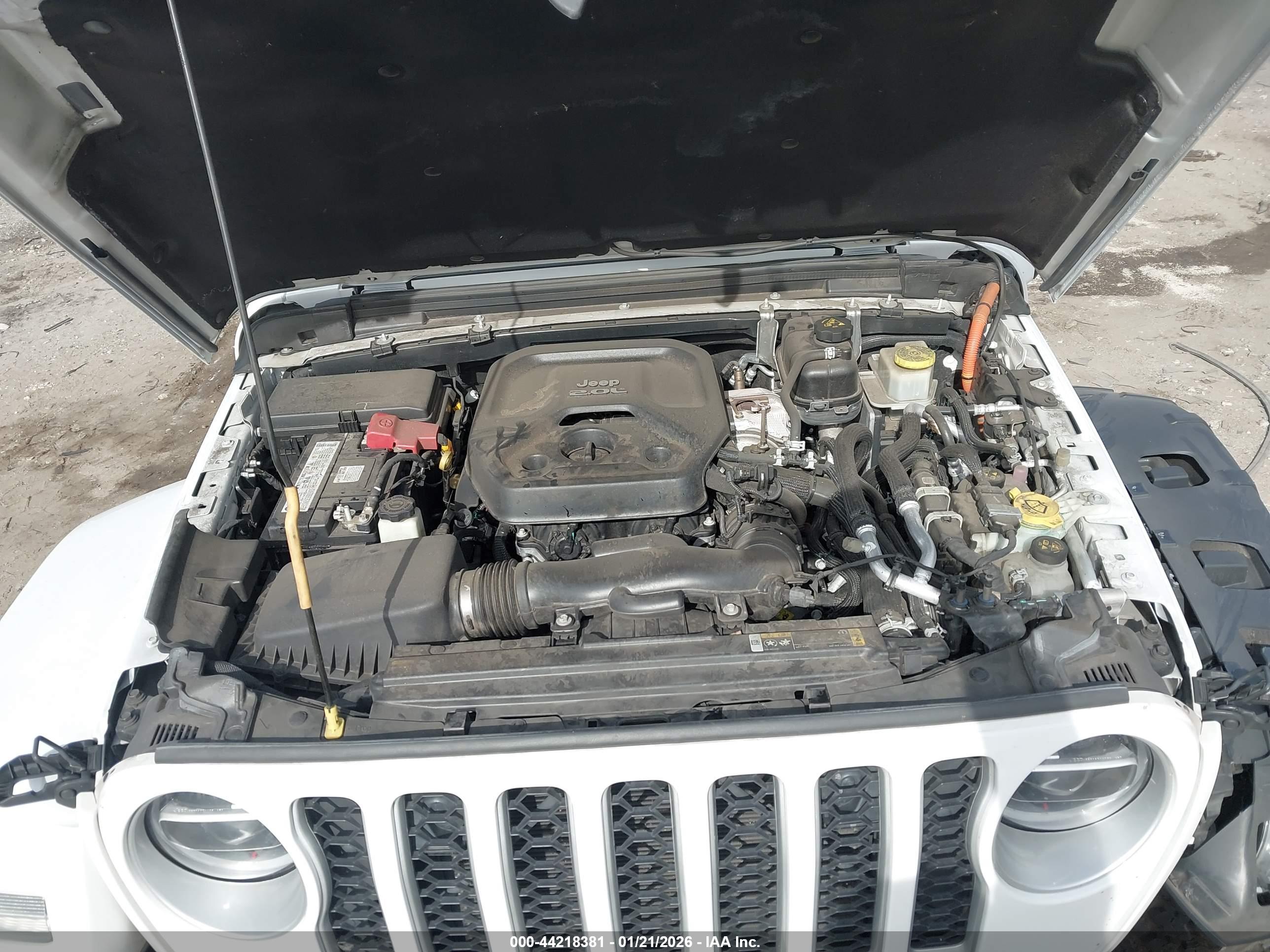 JEEP WRANGLER image 10