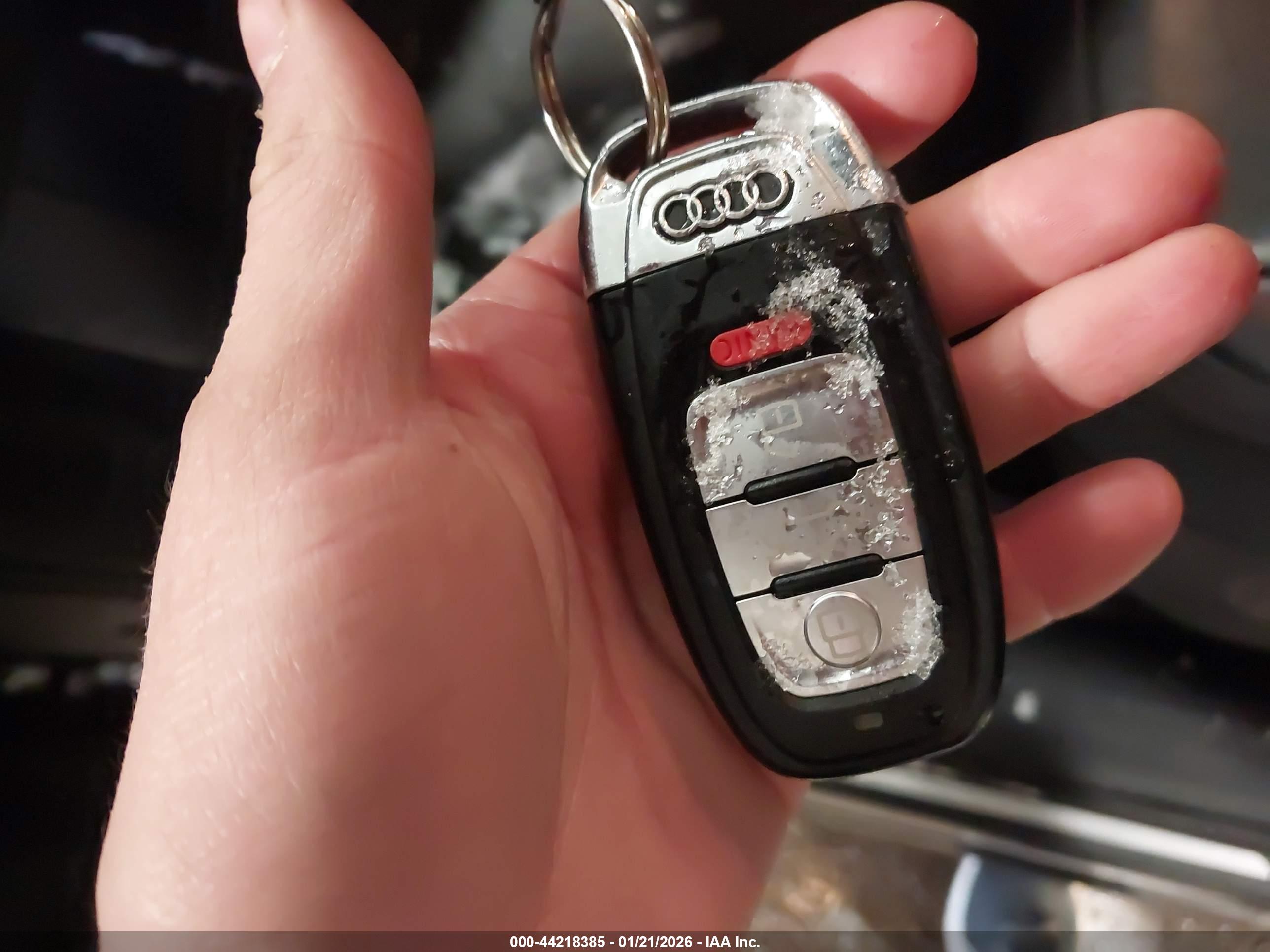AUDI Q5 image 11