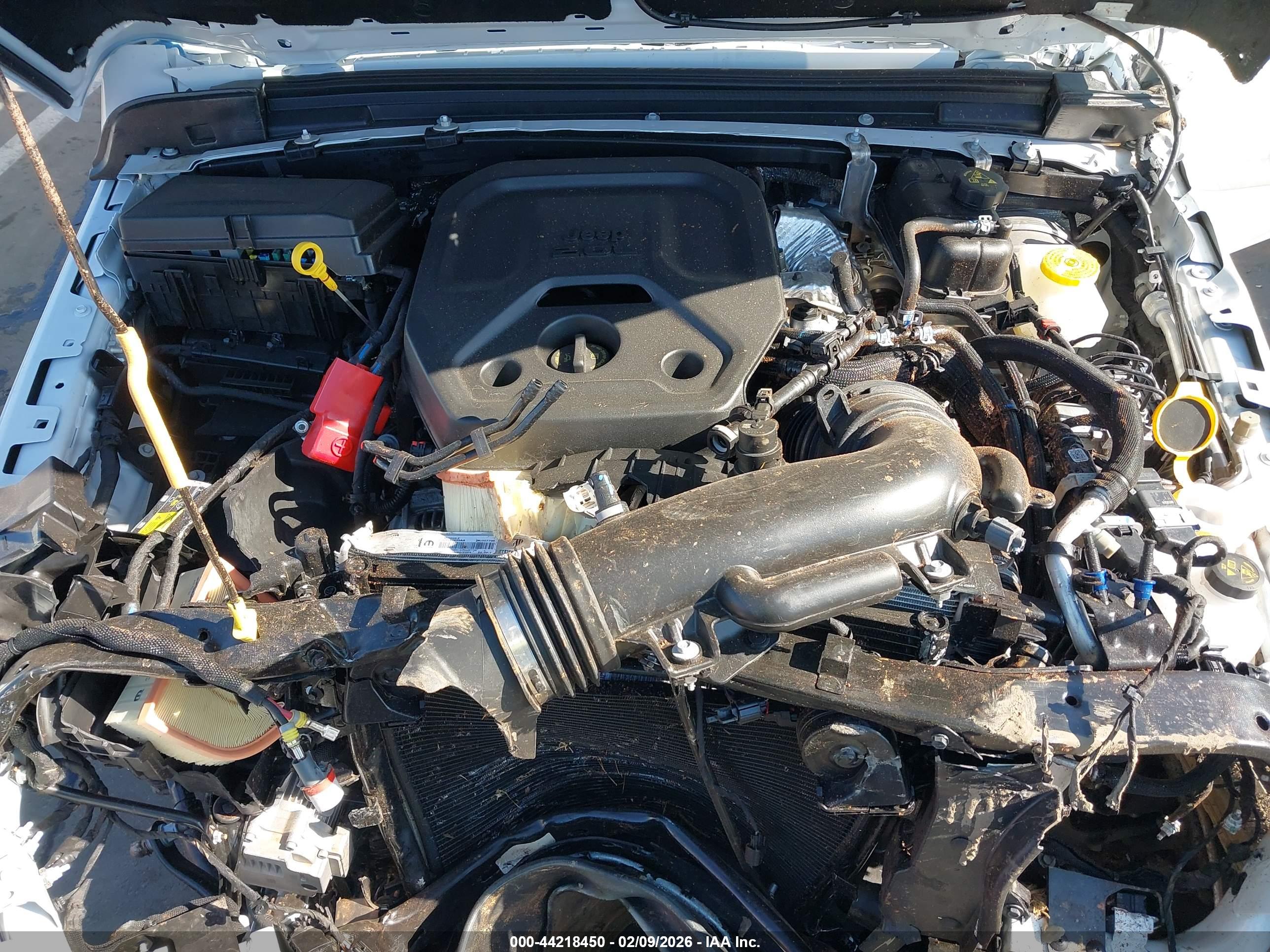 JEEP WRANGLER image 10