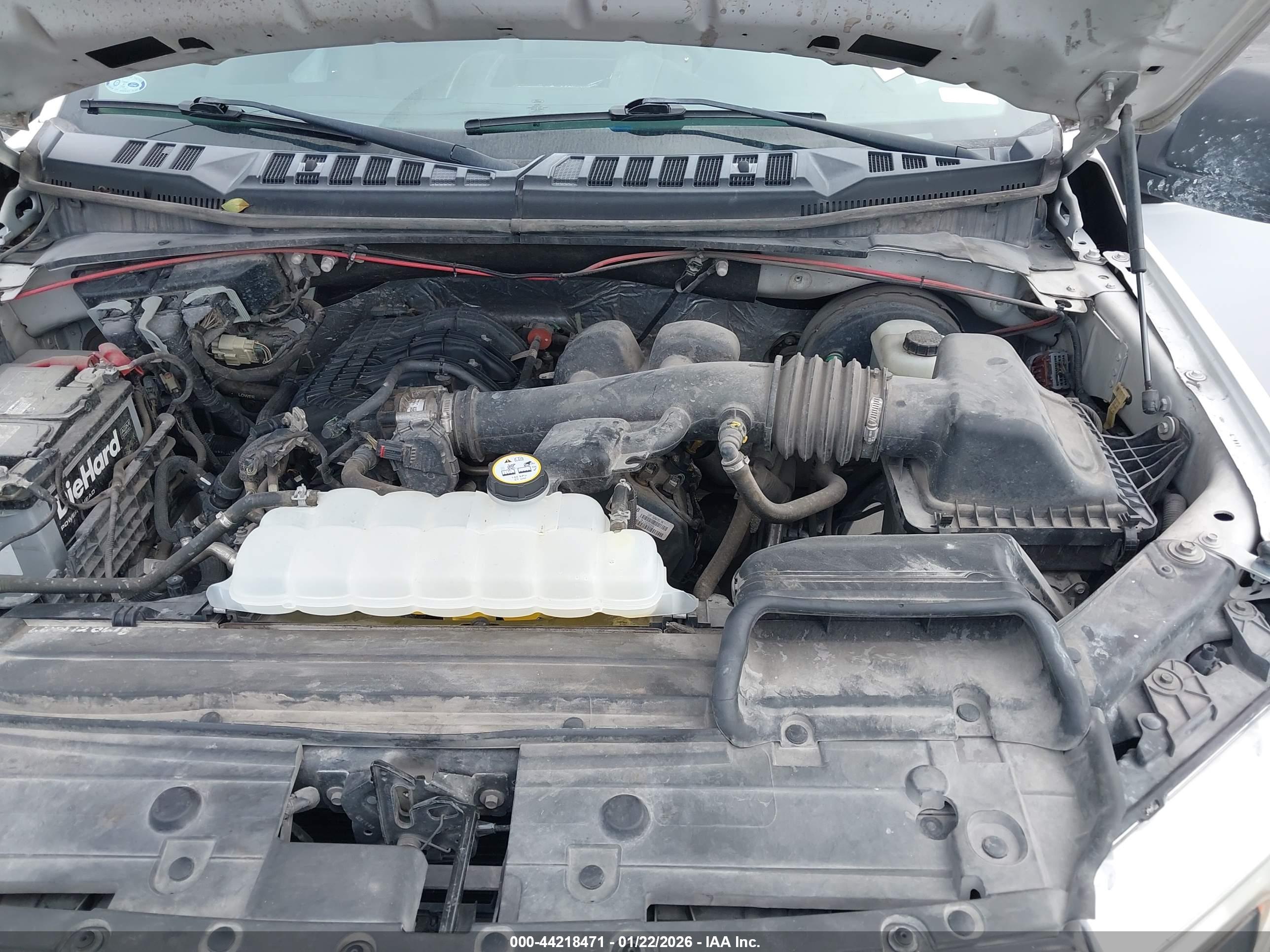 FORD F-150 image 10