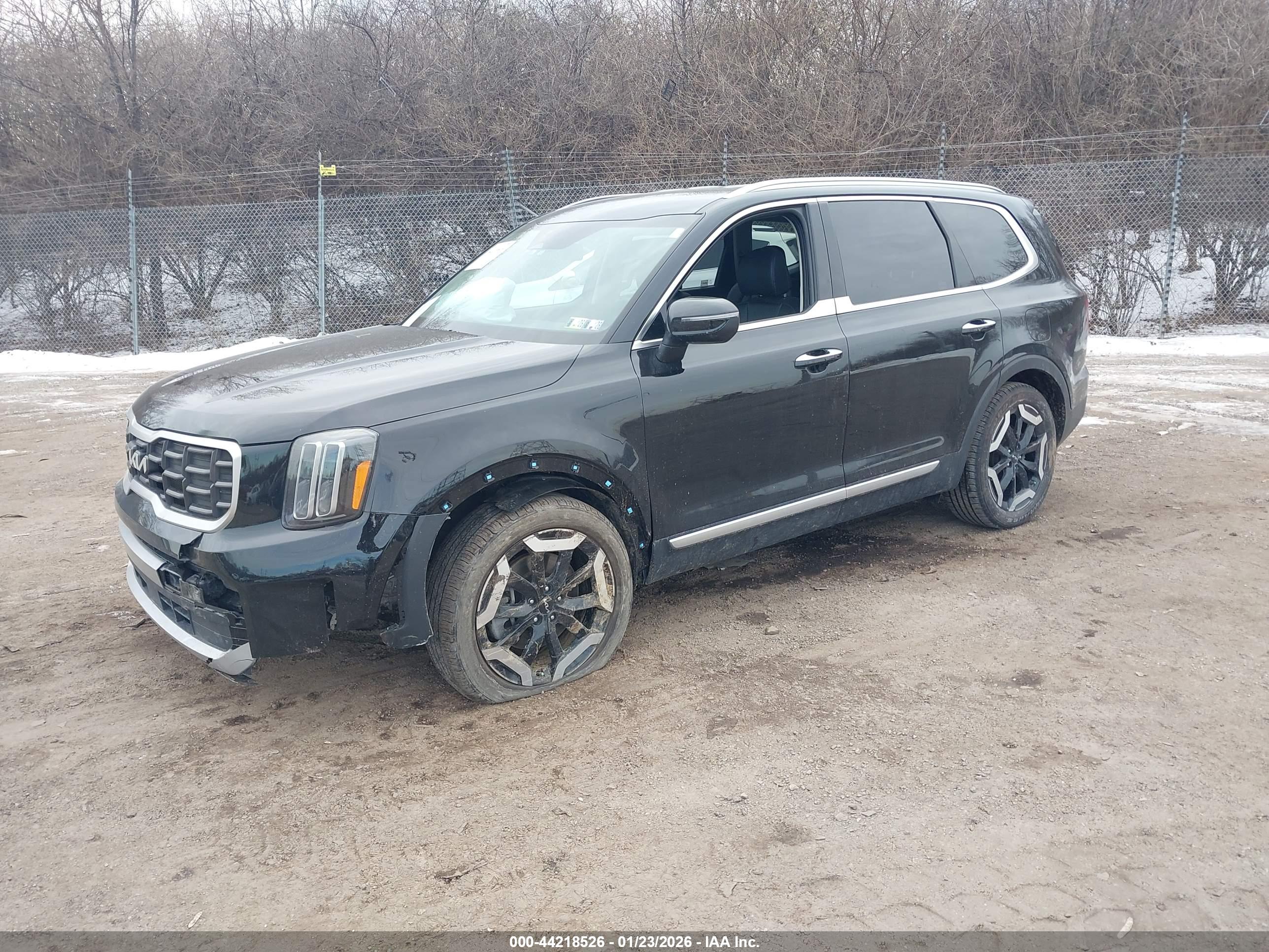 KIA TELLURIDE image 2