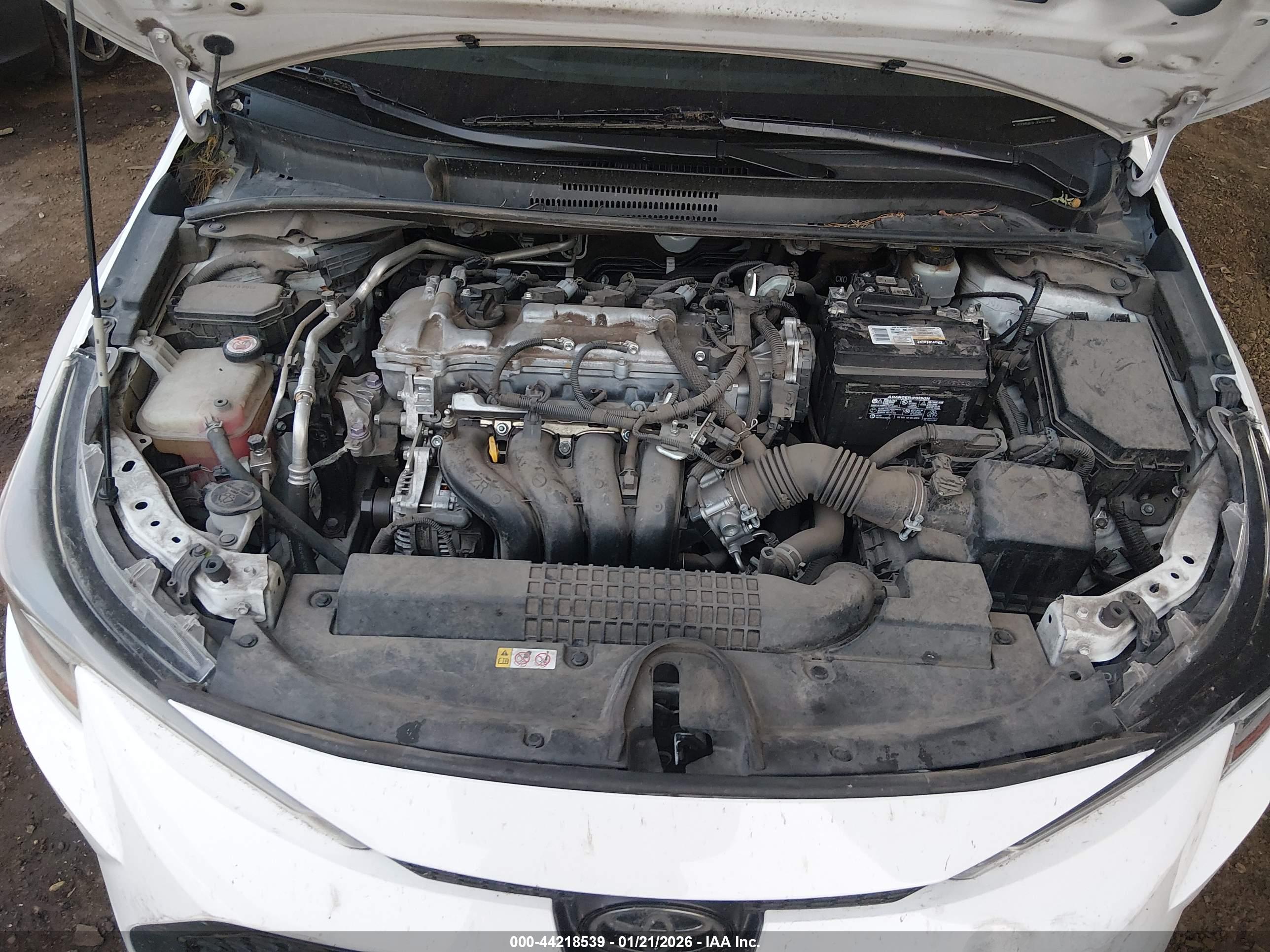 TOYOTA COROLLA image 10