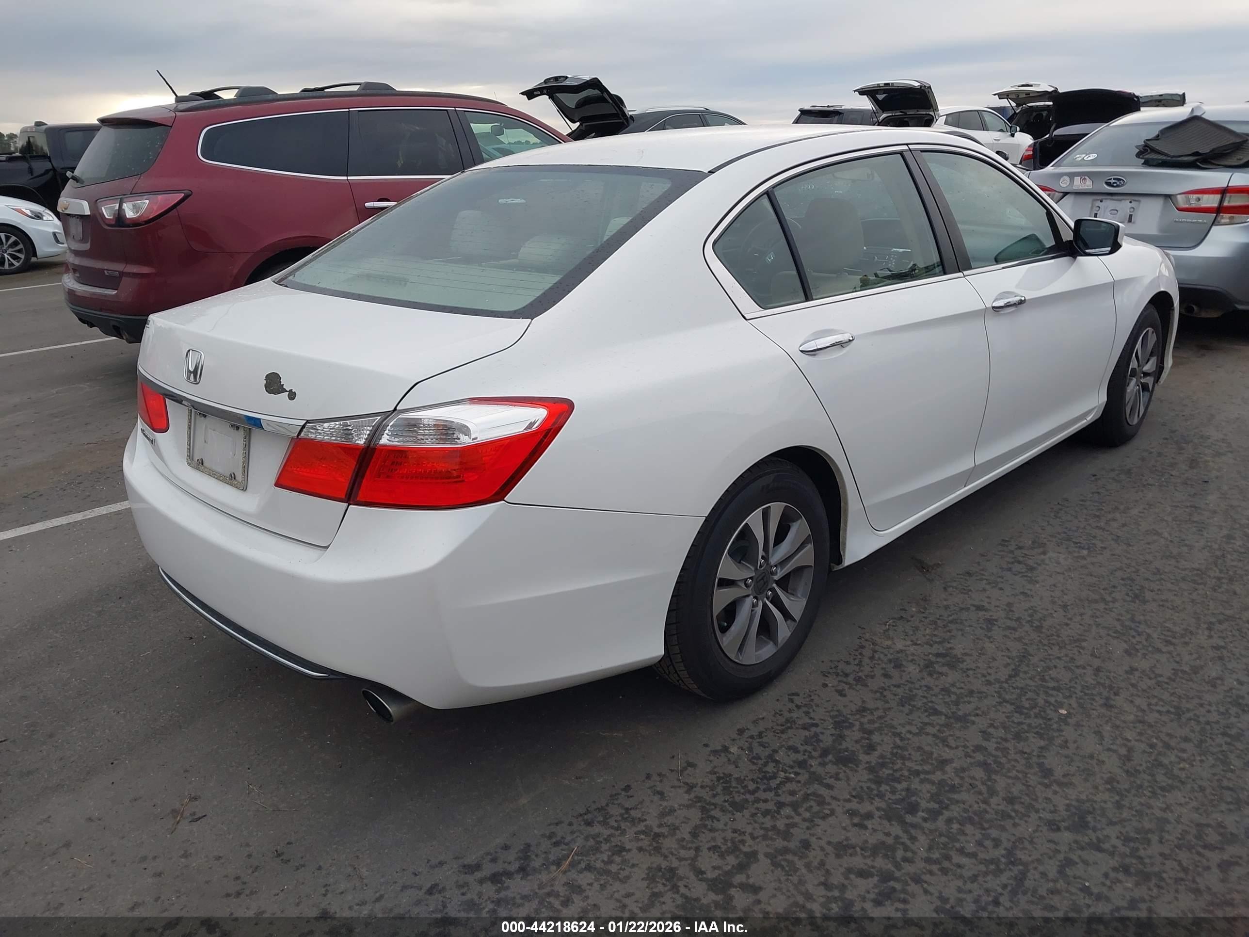 HONDA ACCORD image 4
