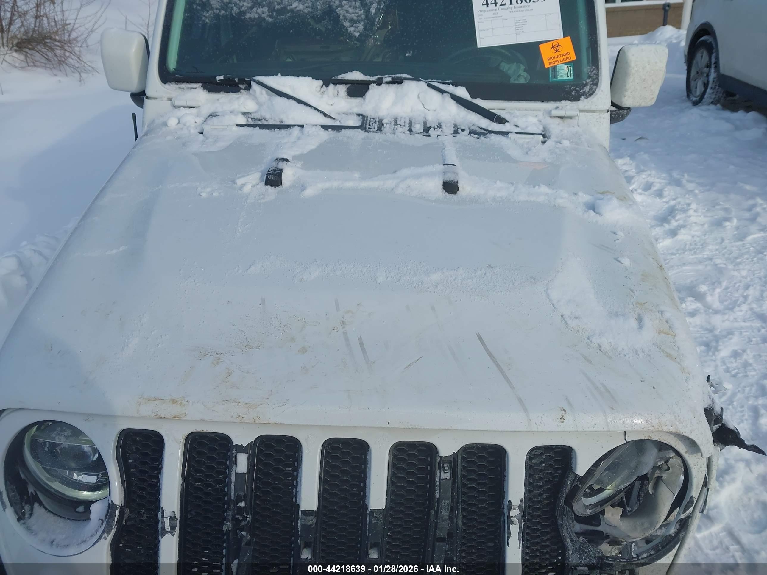 JEEP WRANGLER image 10