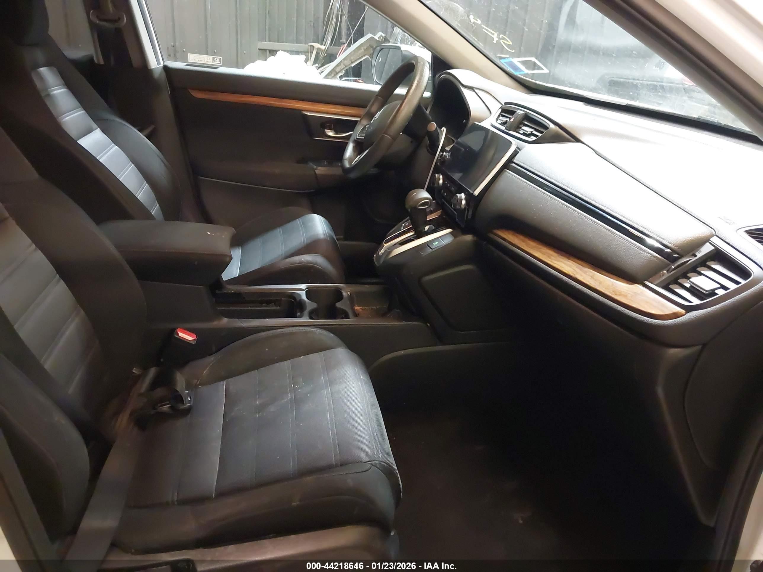 HONDA CR-V image 5
