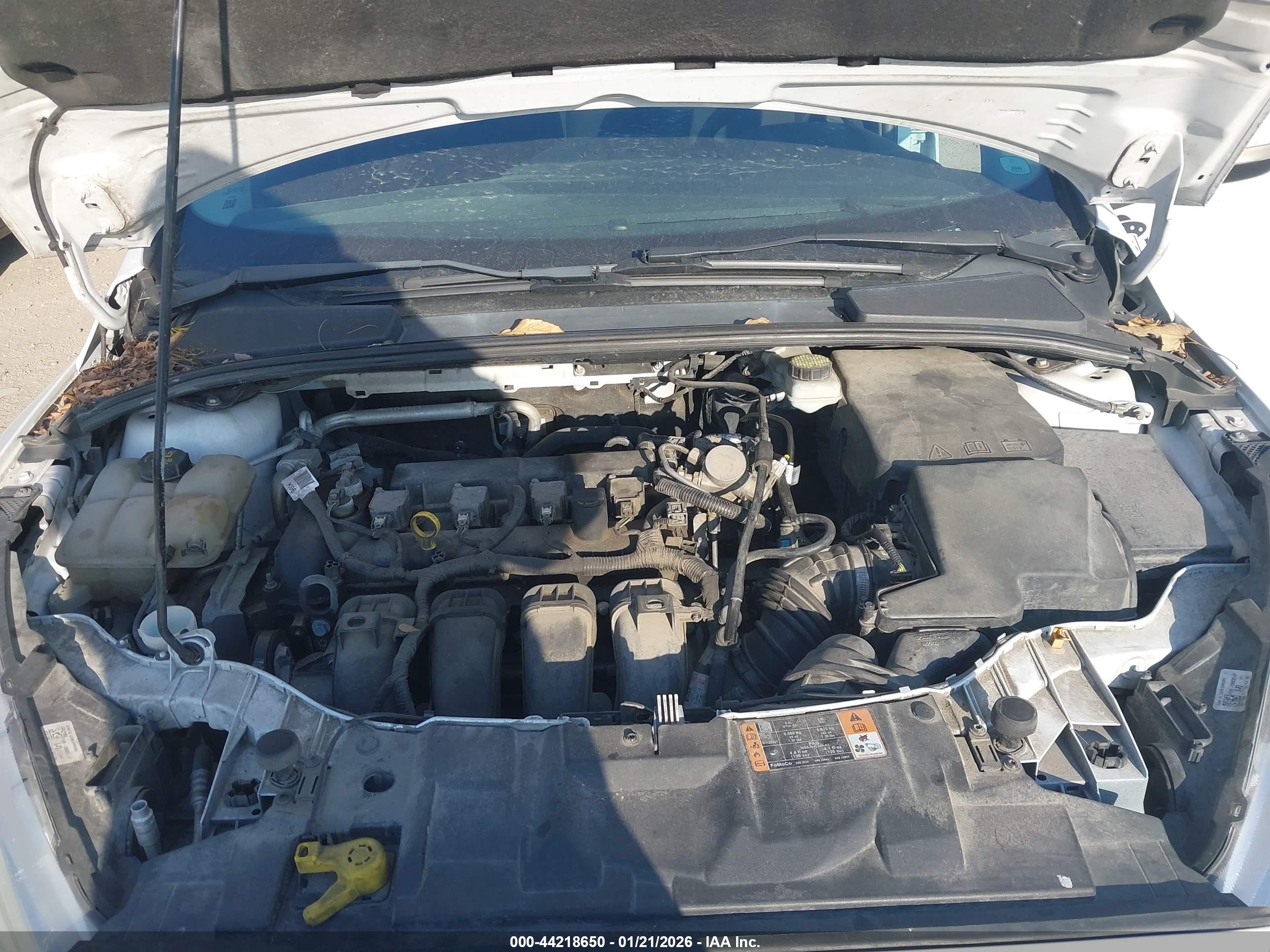 FORD FOCUS image 10