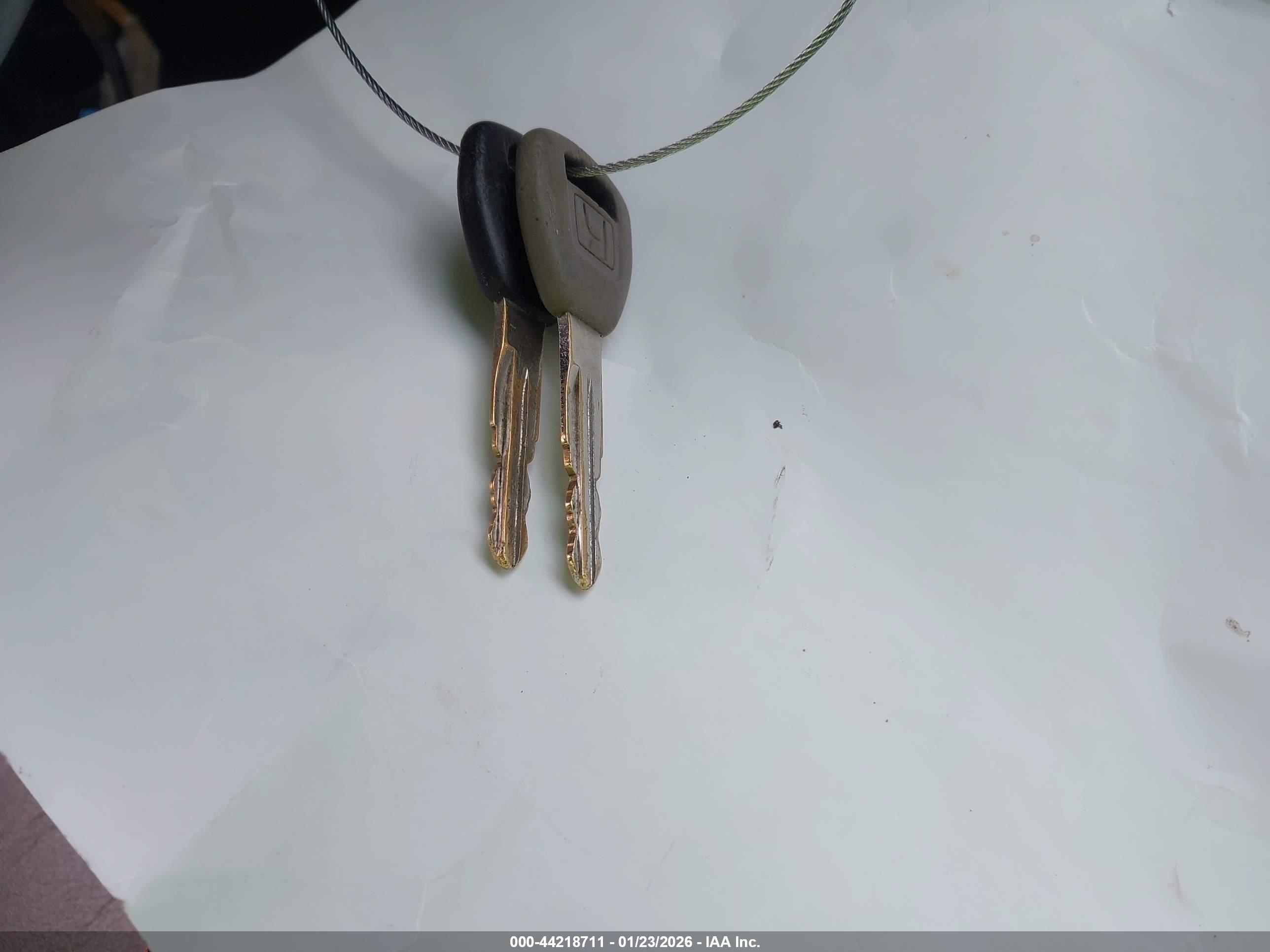 HONDA ACCORD image 11