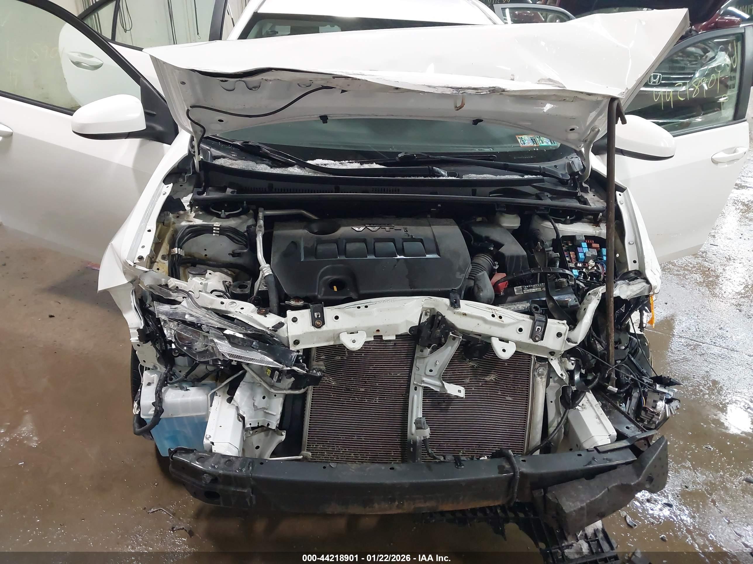 TOYOTA COROLLA image 10
