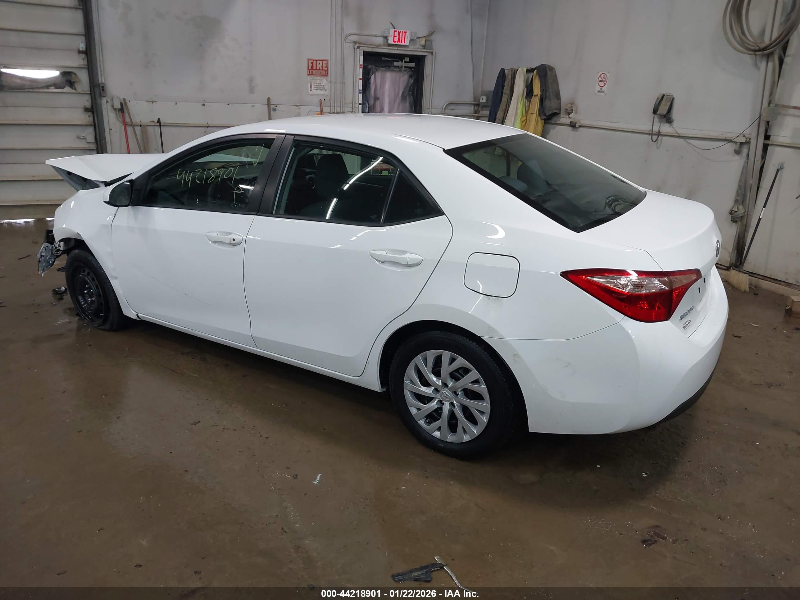 TOYOTA COROLLA image 3