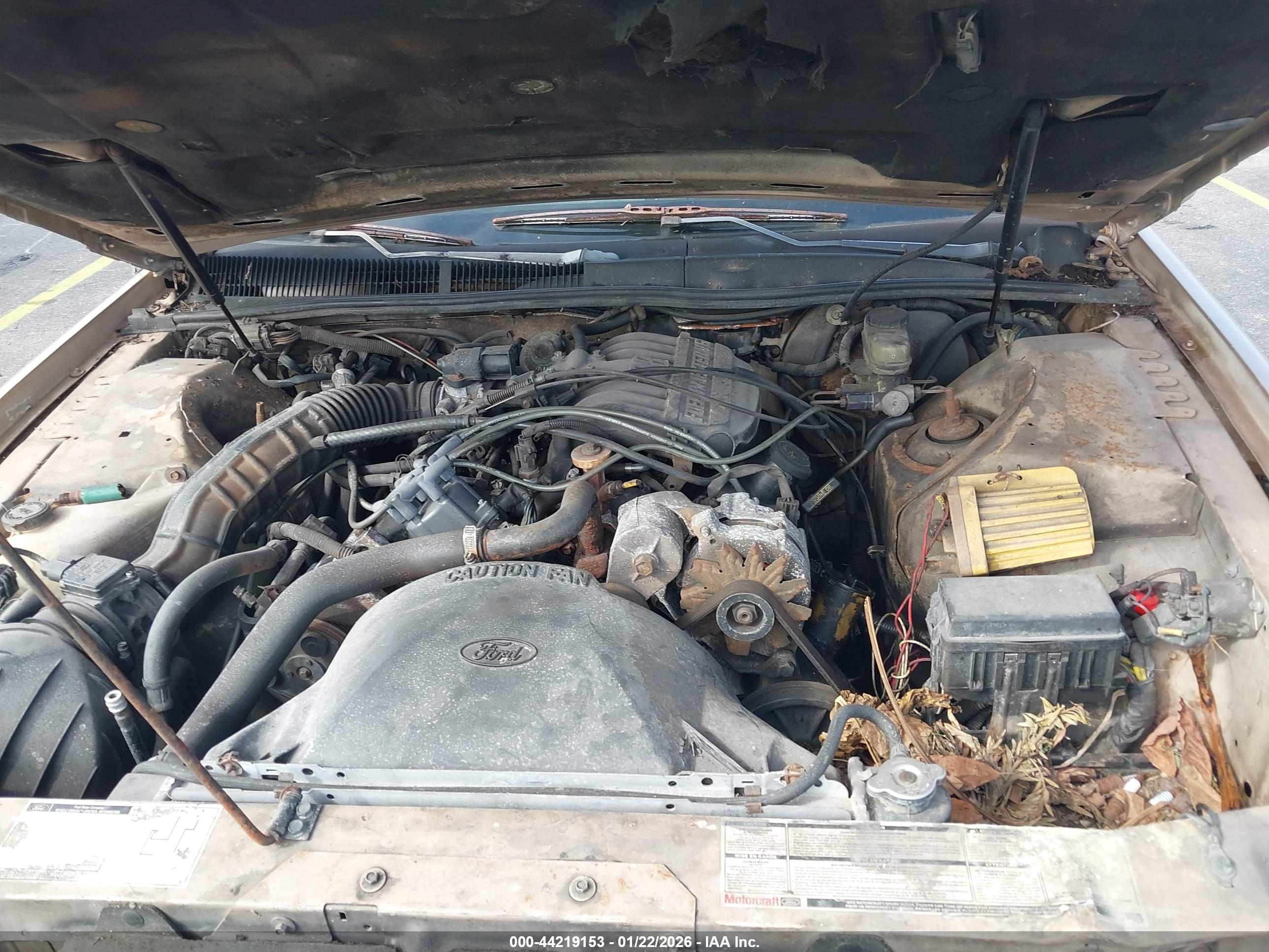 MERCURY COUGAR image 10