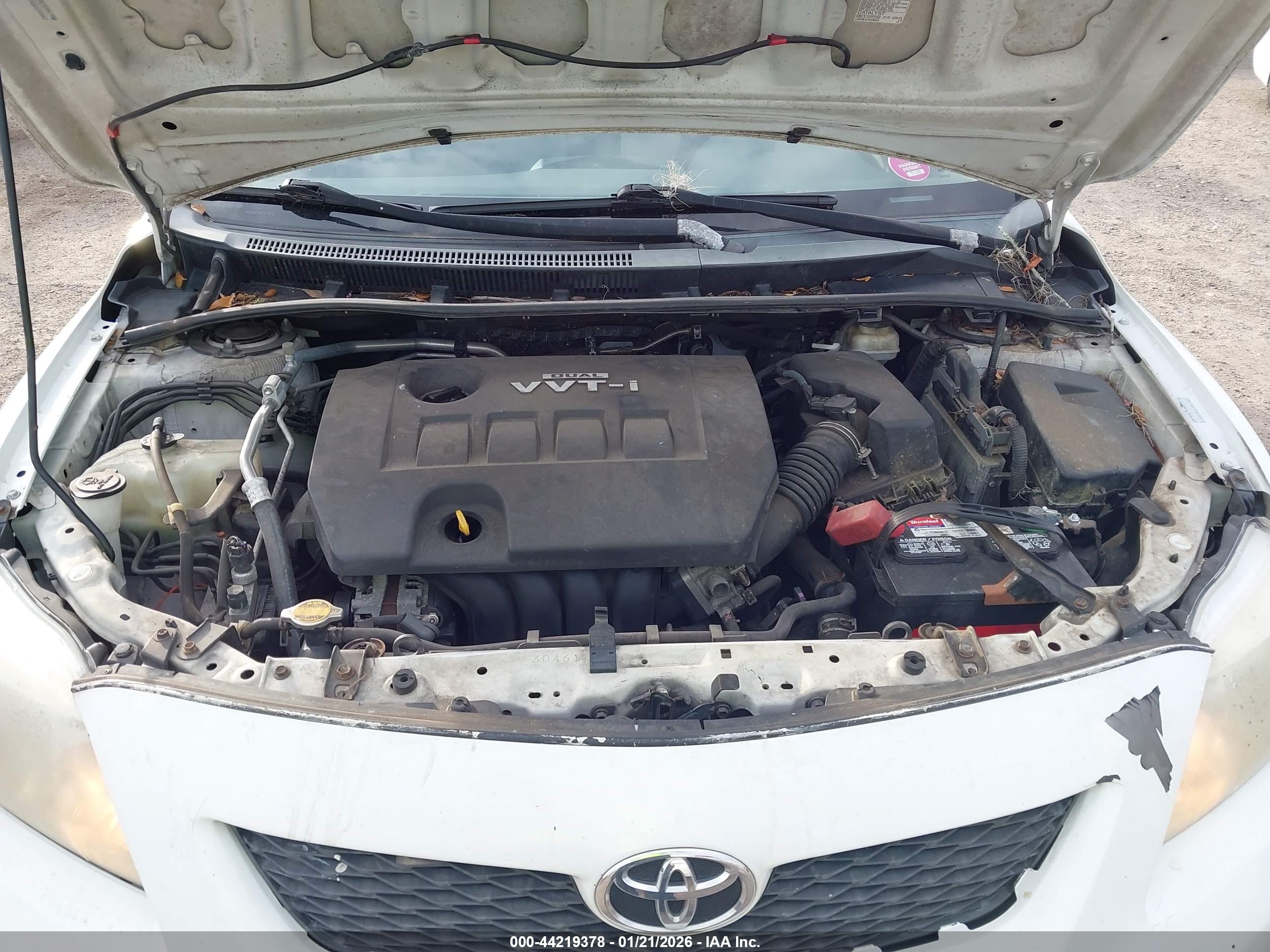 TOYOTA COROLLA image 10
