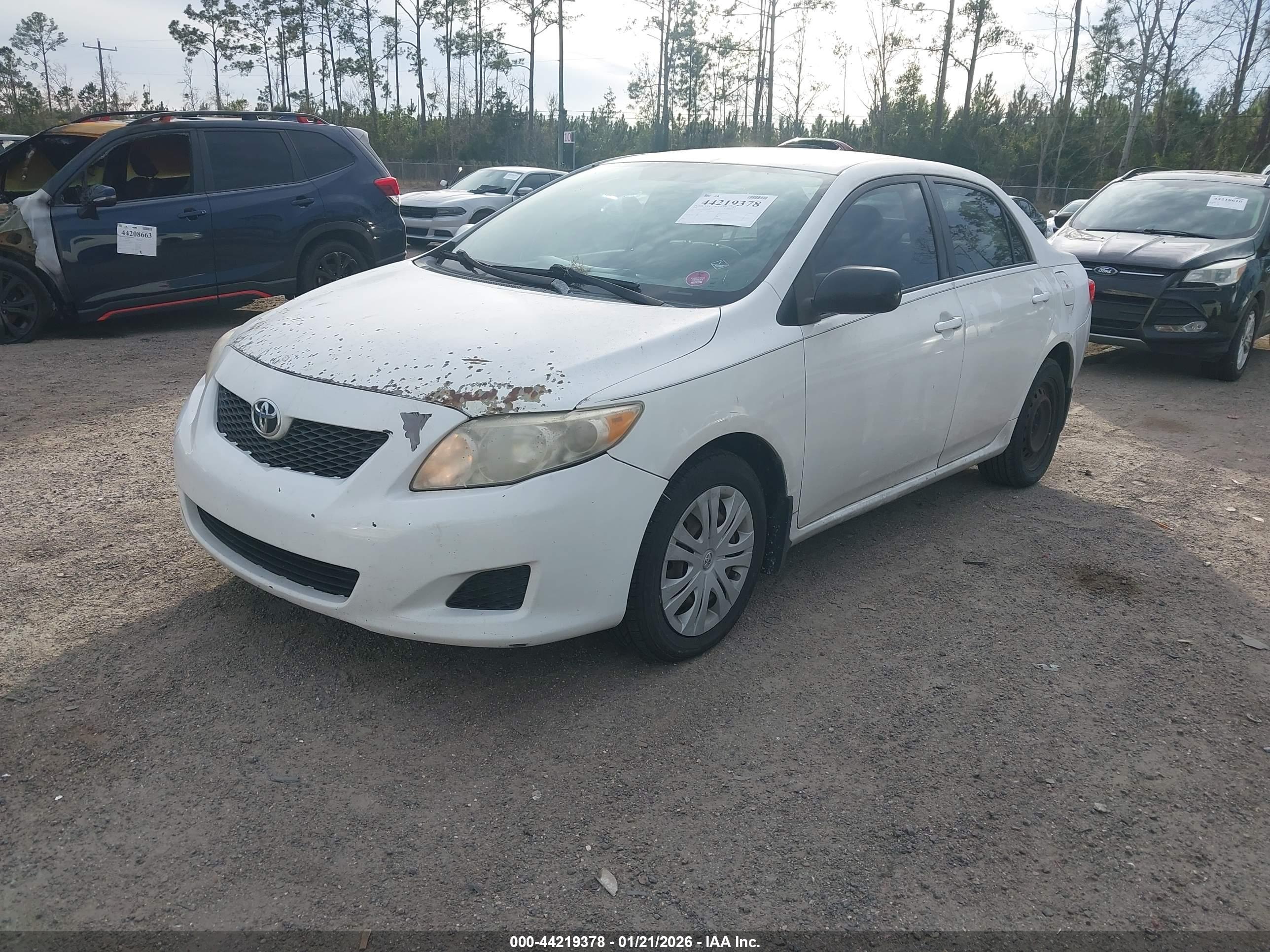TOYOTA COROLLA image 2