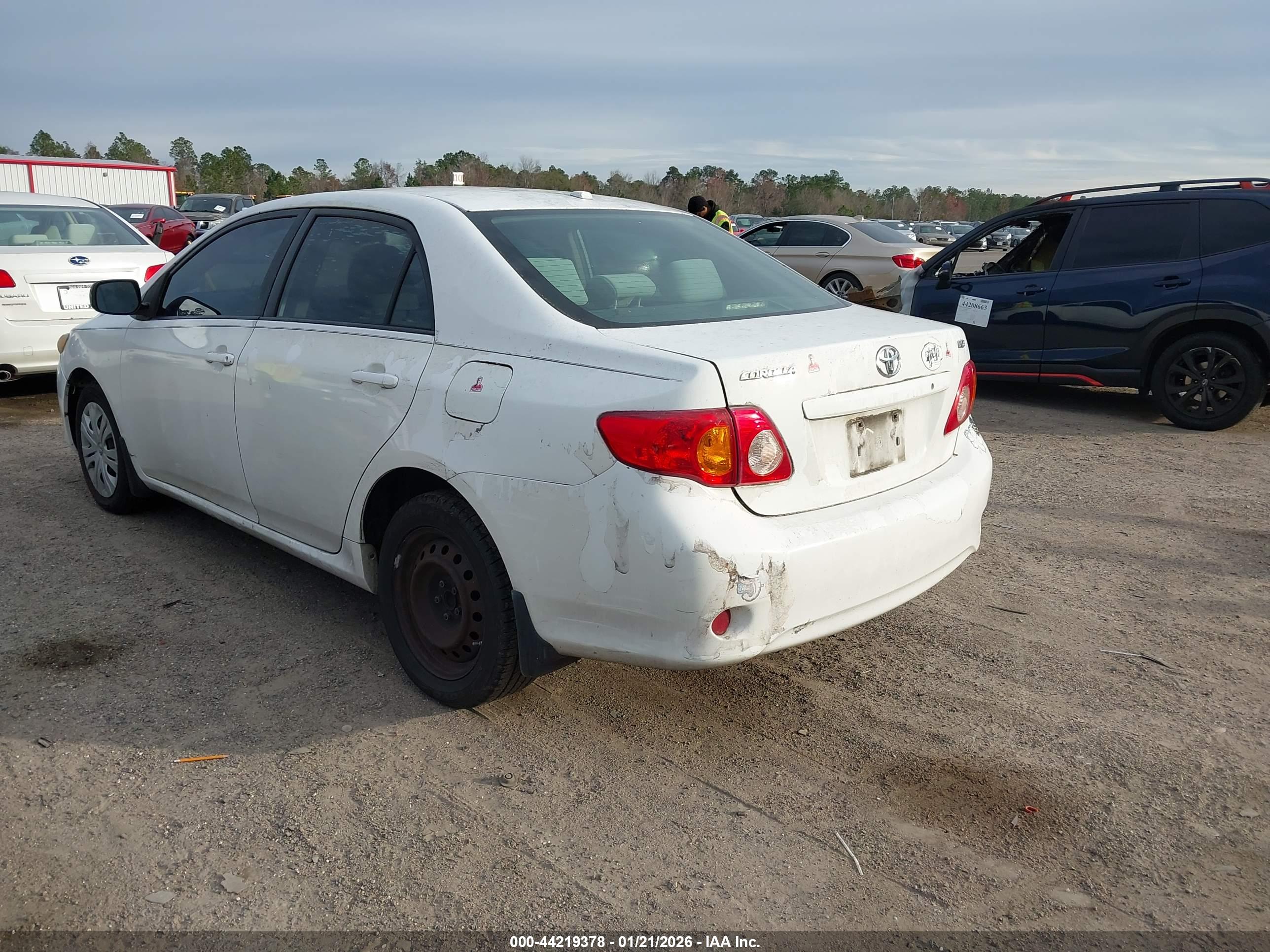 TOYOTA COROLLA image 3