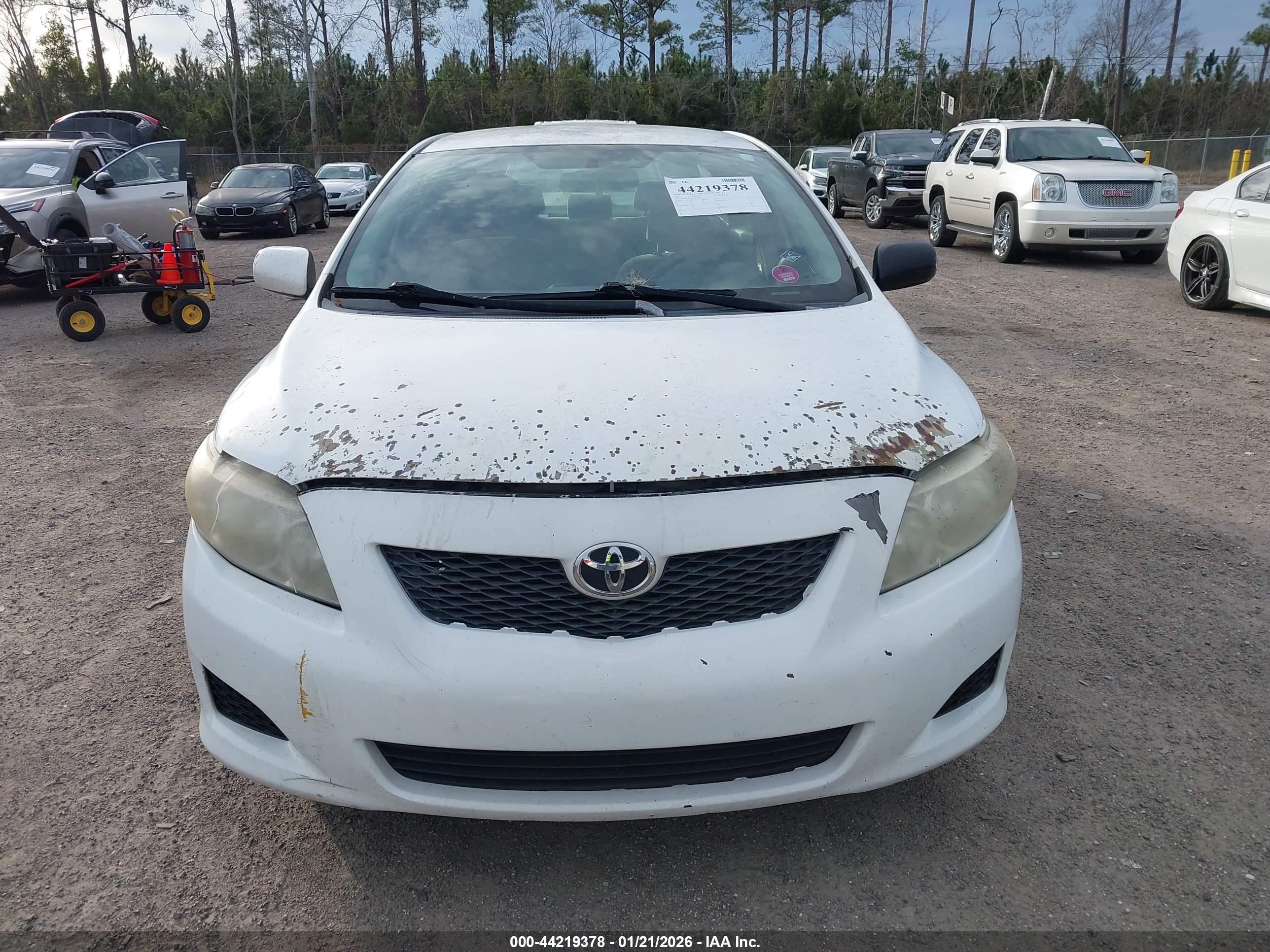 TOYOTA COROLLA image 6