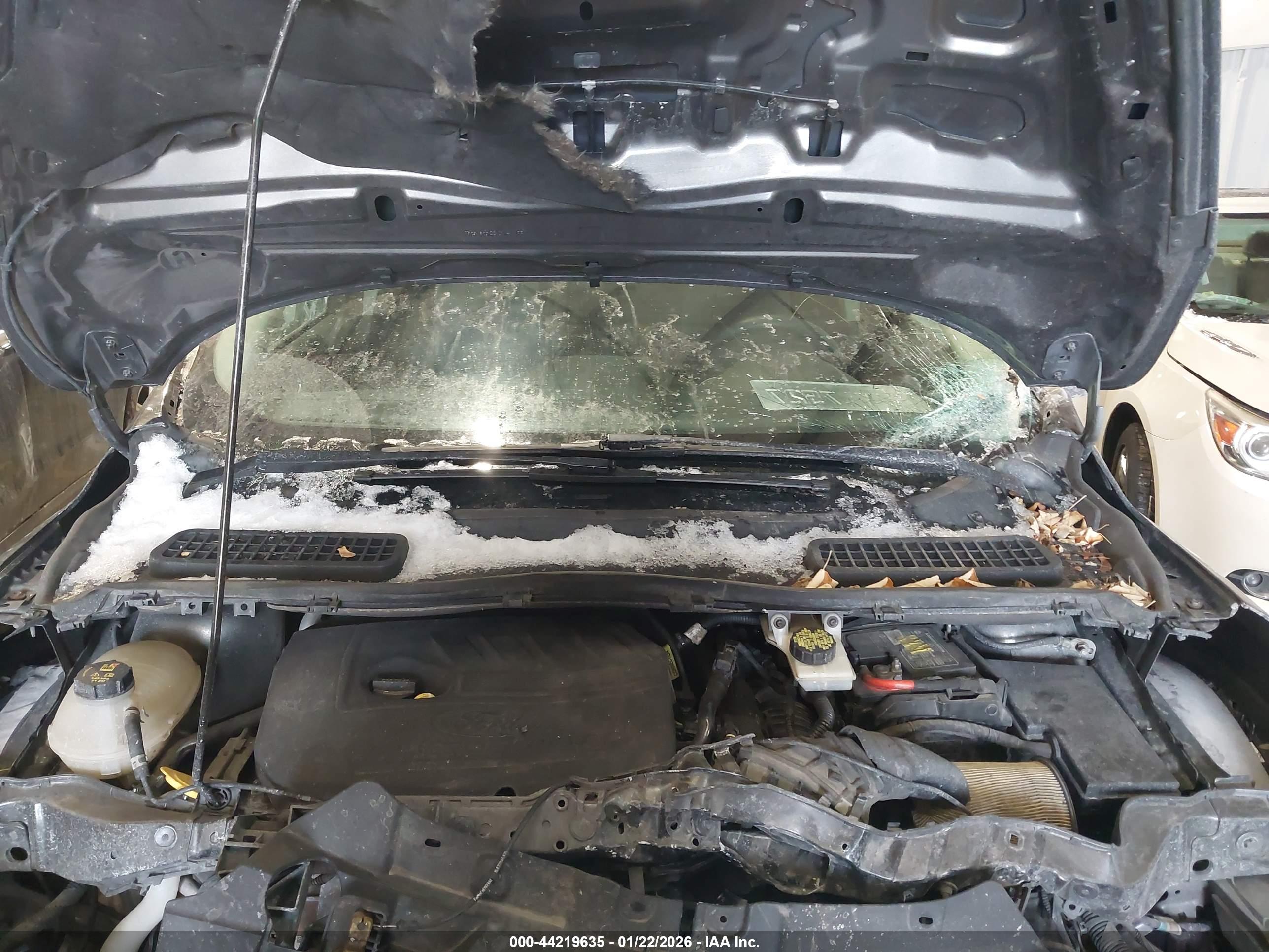 FORD ESCAPE image 10
