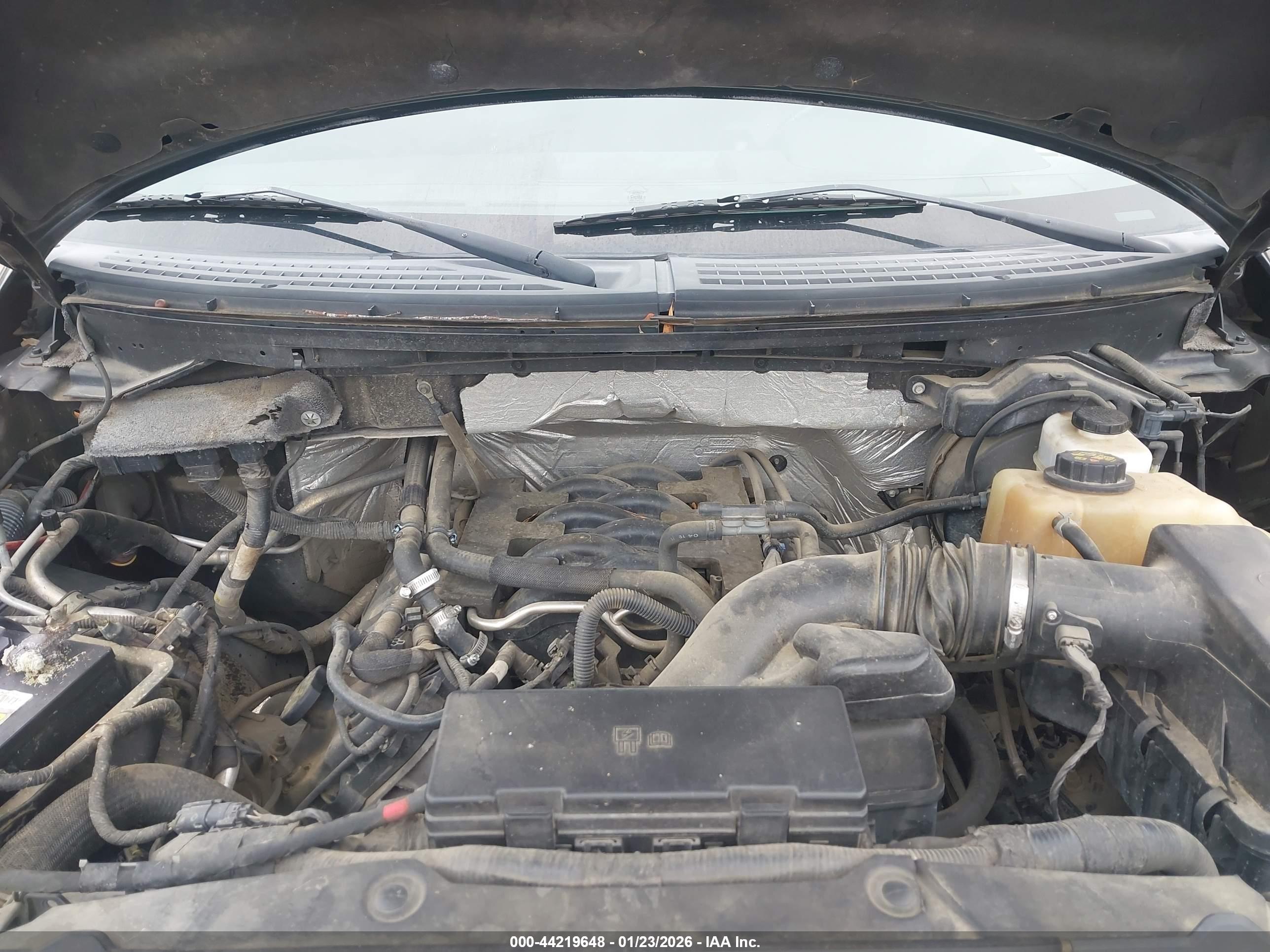 FORD F-150 image 10