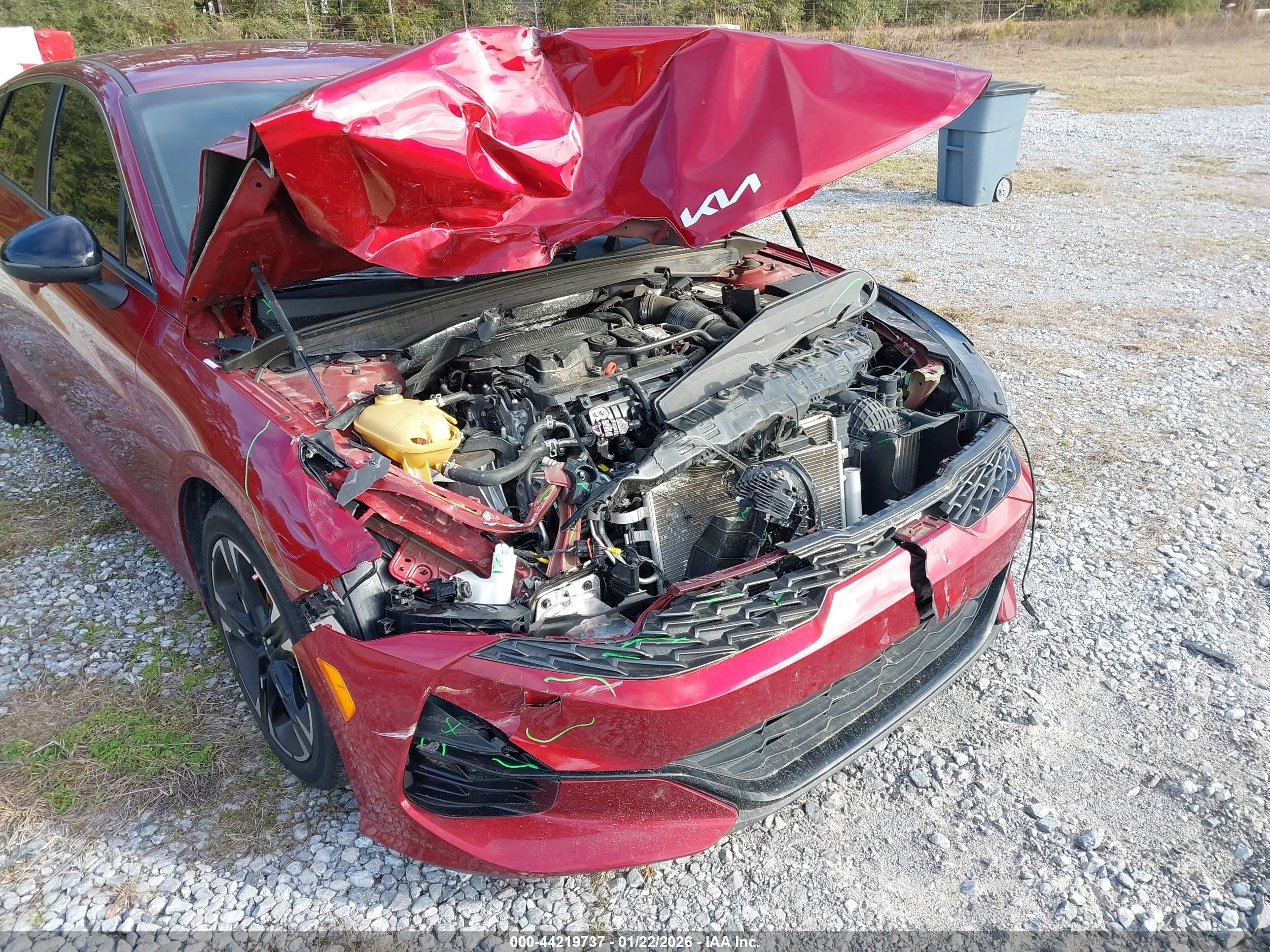 KIA K5 image 6