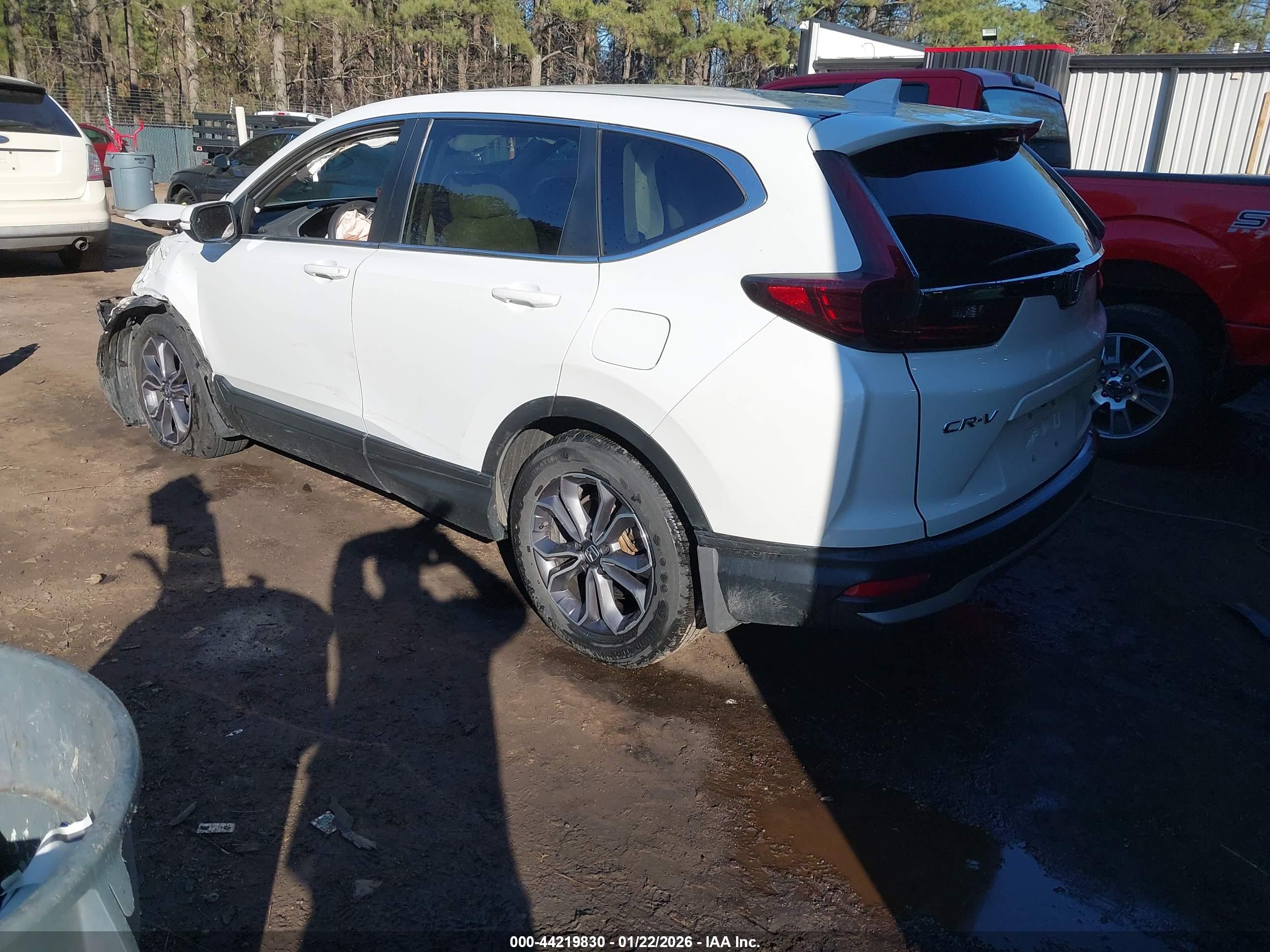 HONDA CR-V image 3