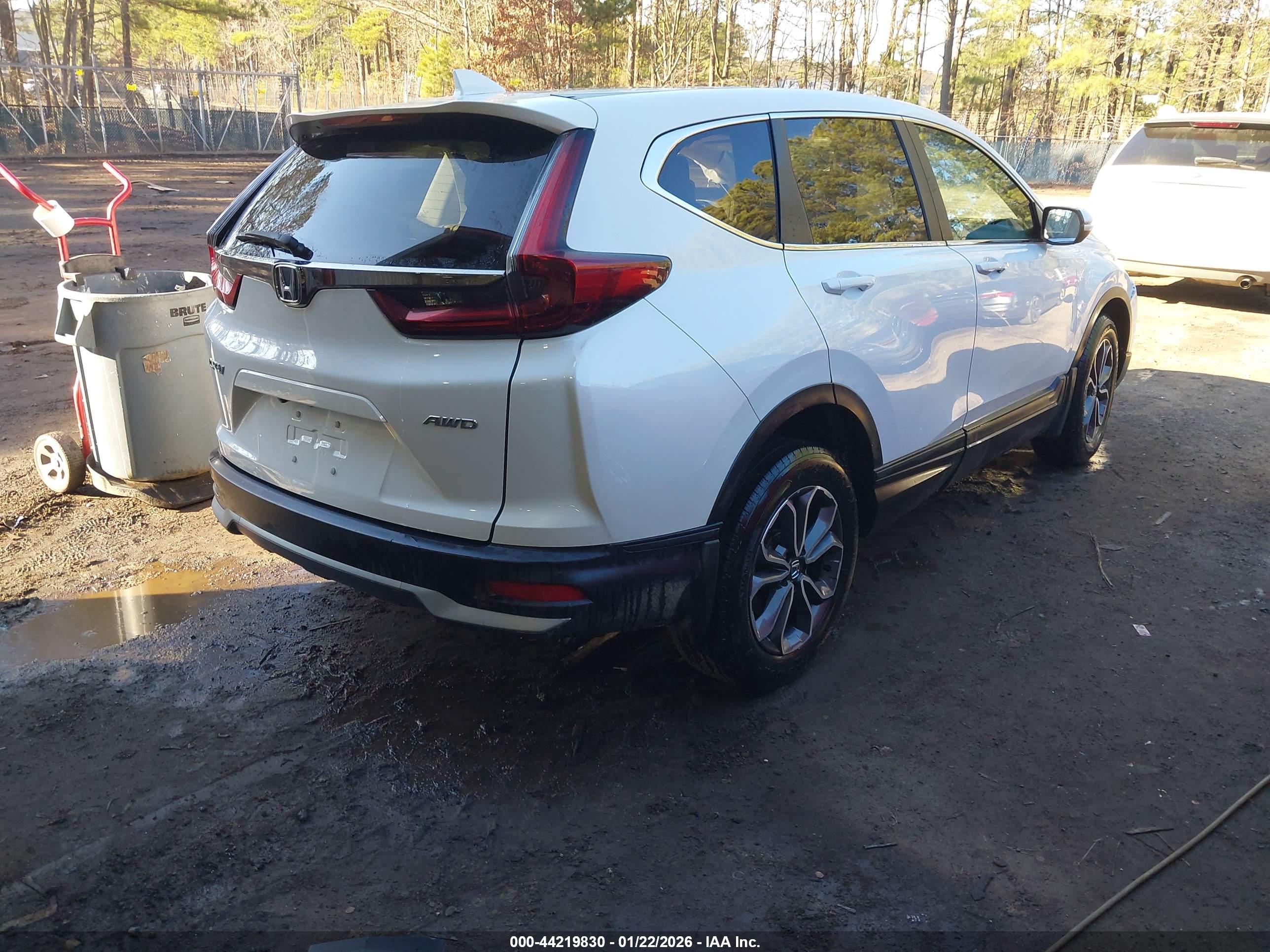 HONDA CR-V image 4