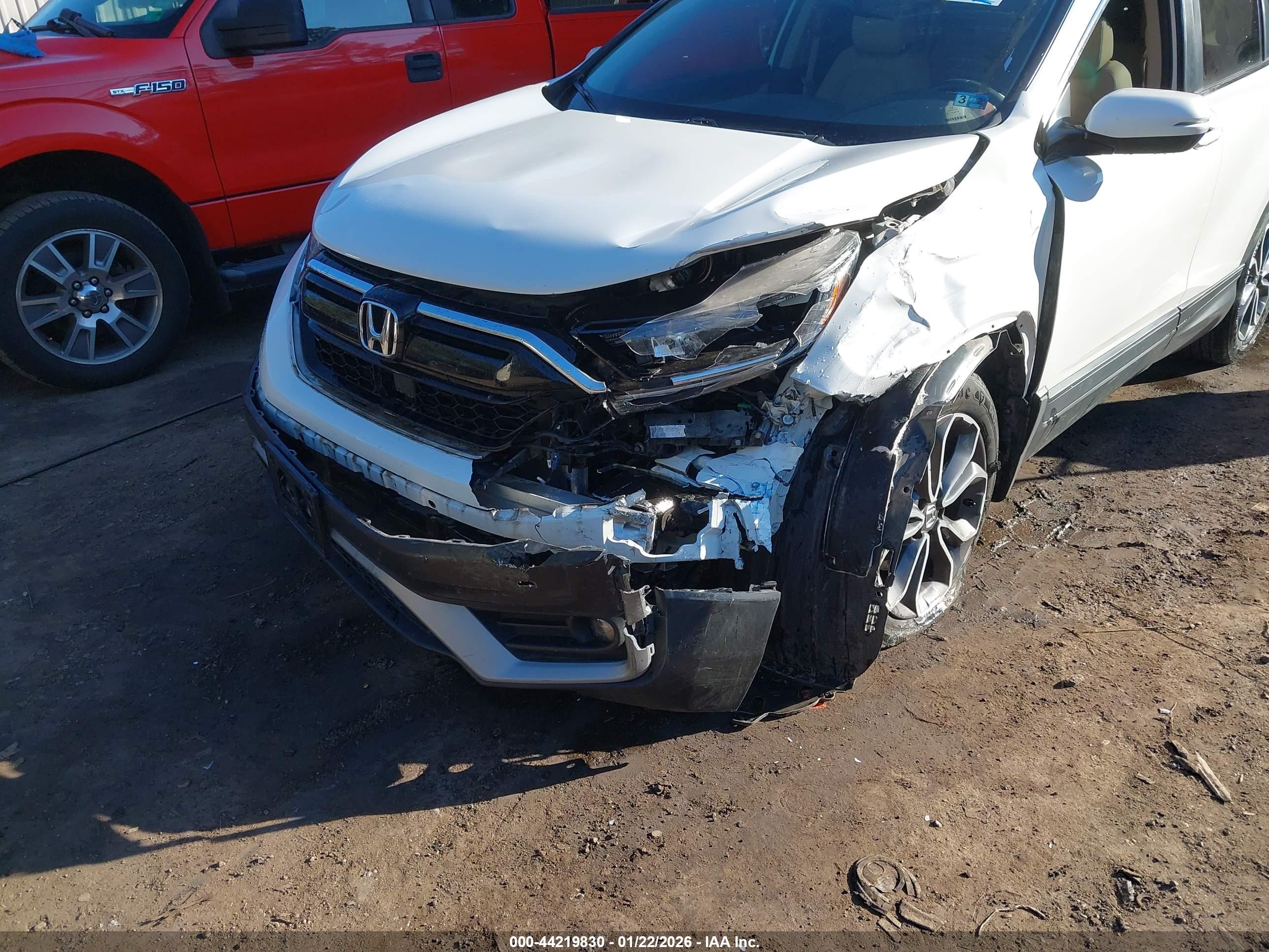 HONDA CR-V image 6