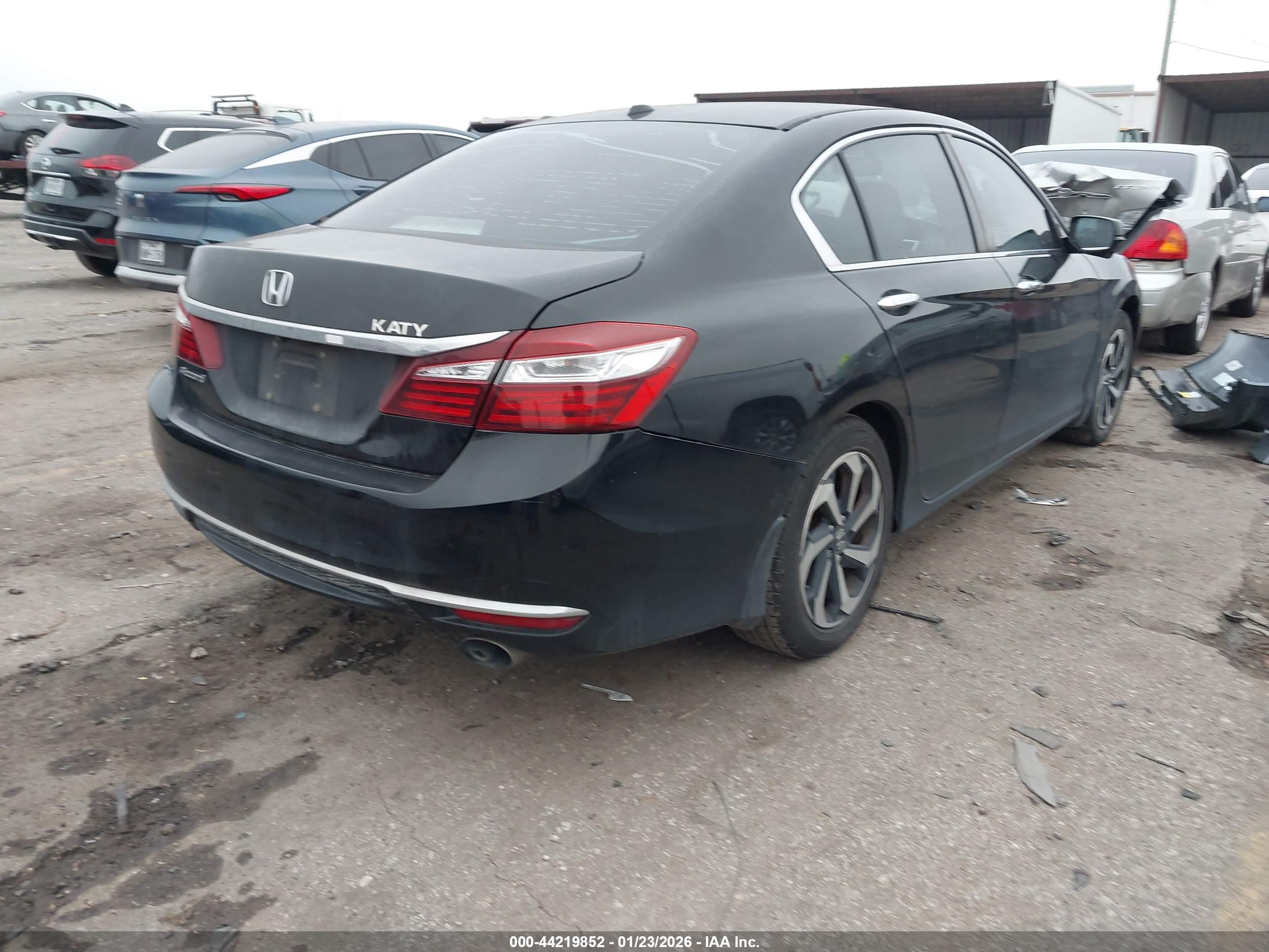 HONDA ACCORD image 4
