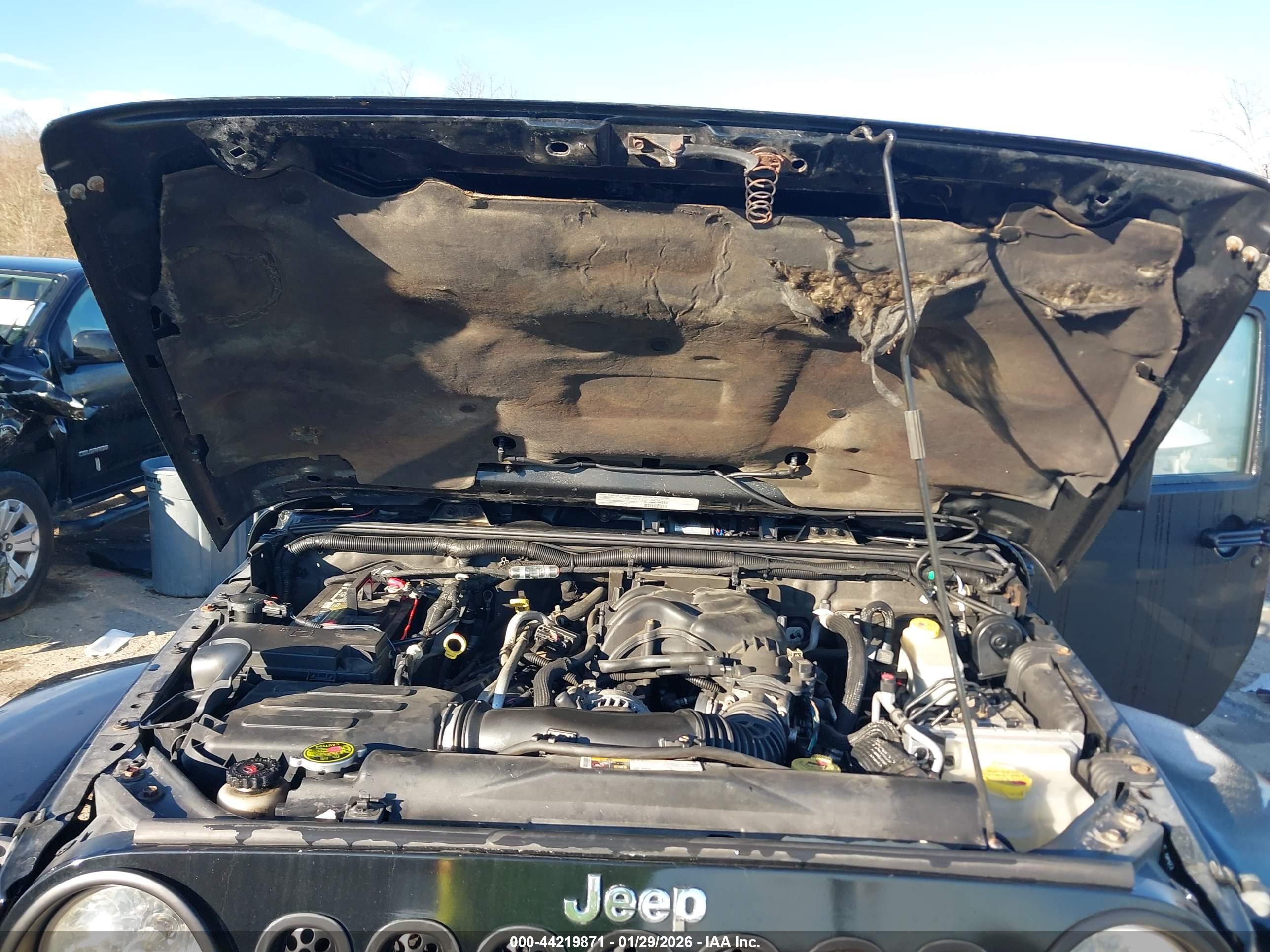 JEEP WRANGLER image 10