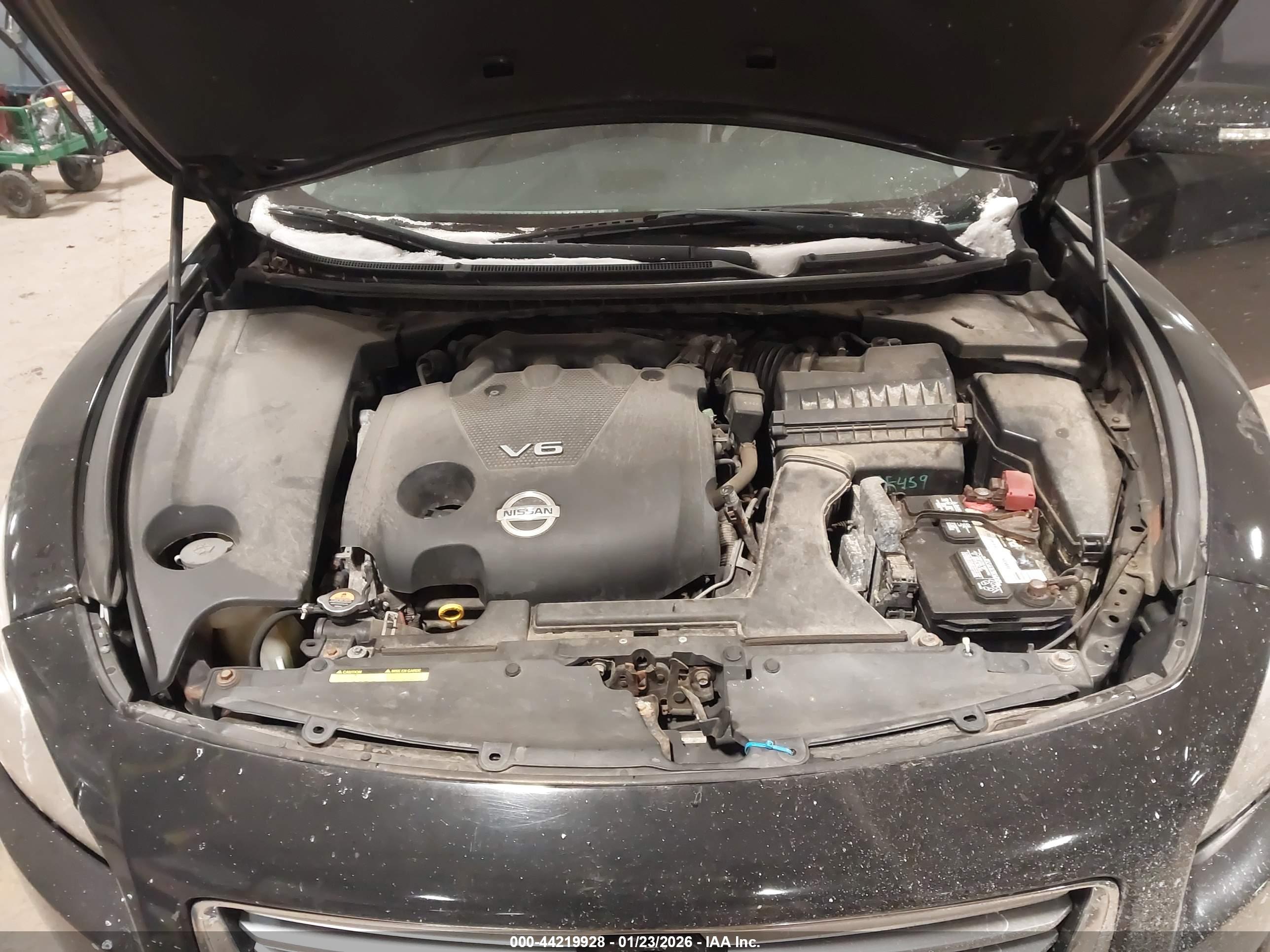 NISSAN MAXIMA image 10