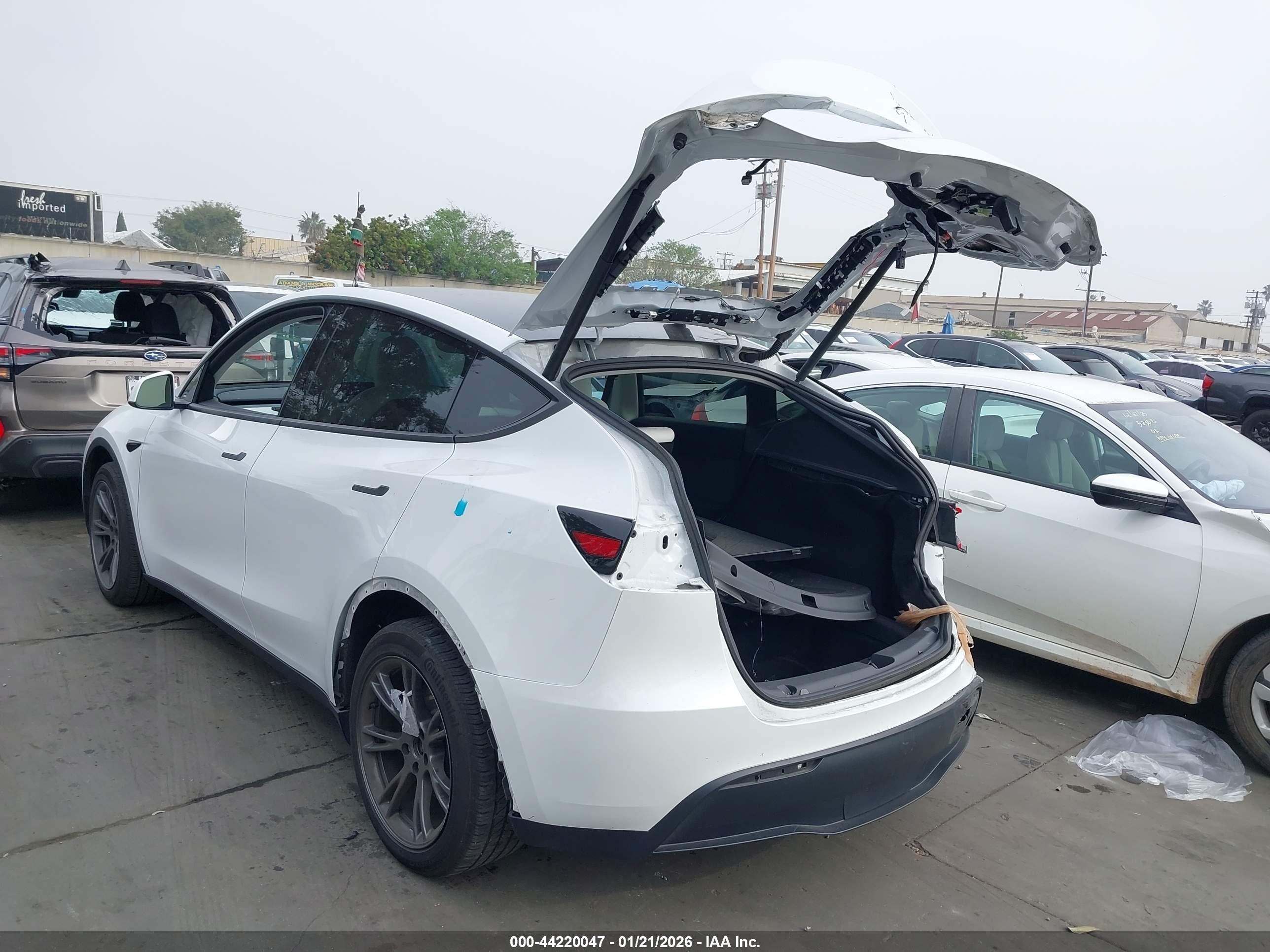 TESLA MODEL image 3