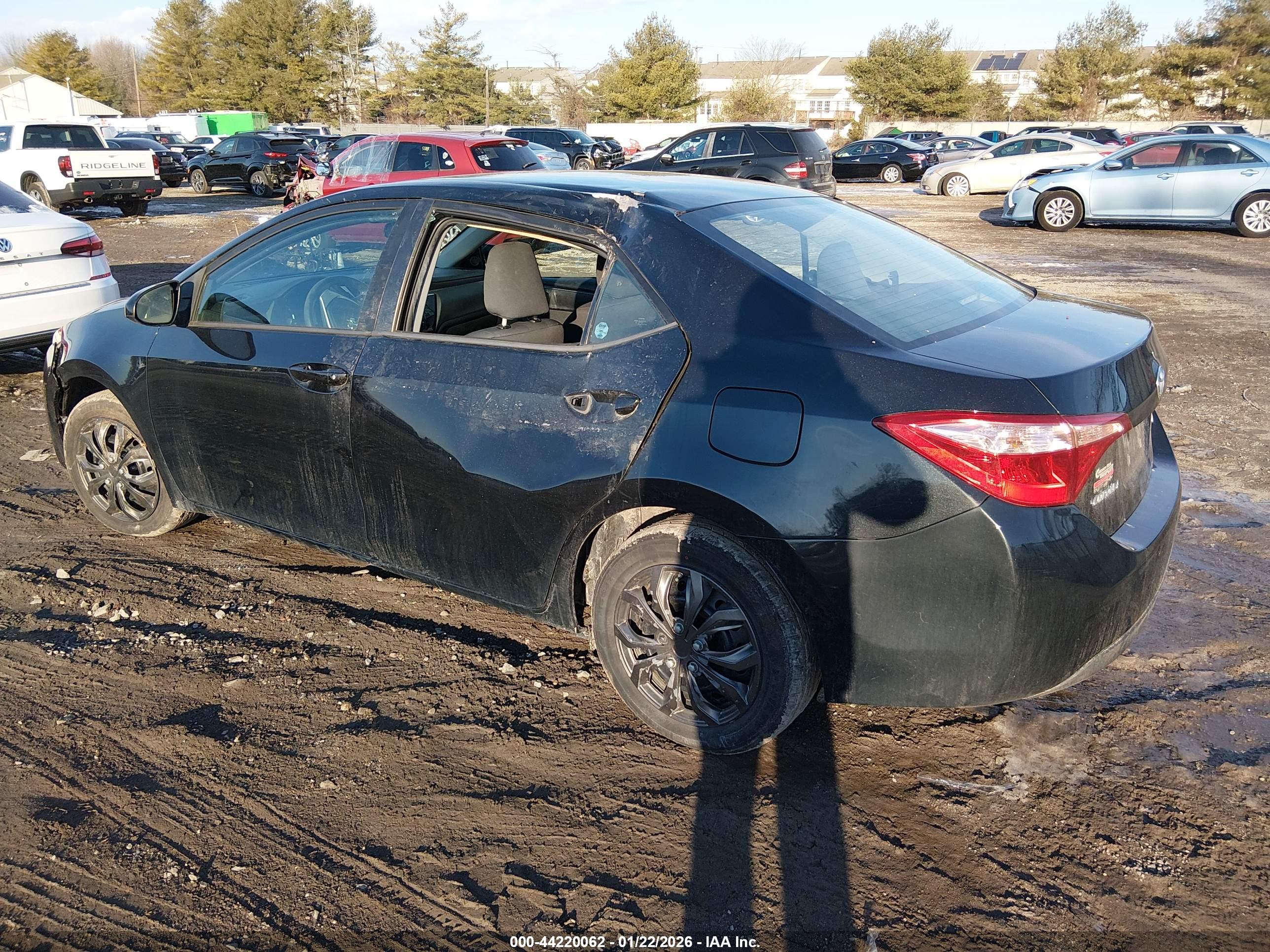 TOYOTA COROLLA image 3