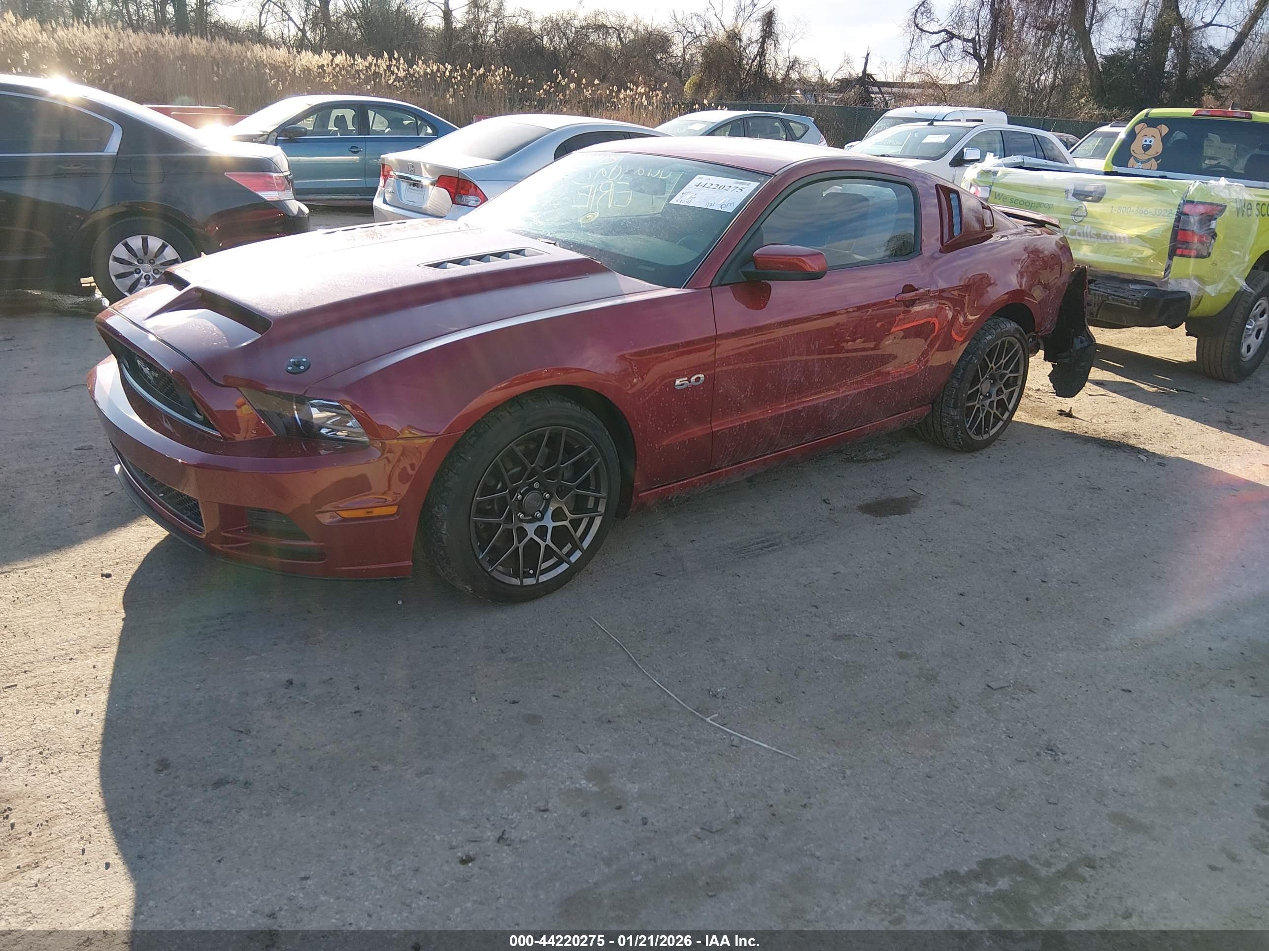 FORD MUSTANG image 2