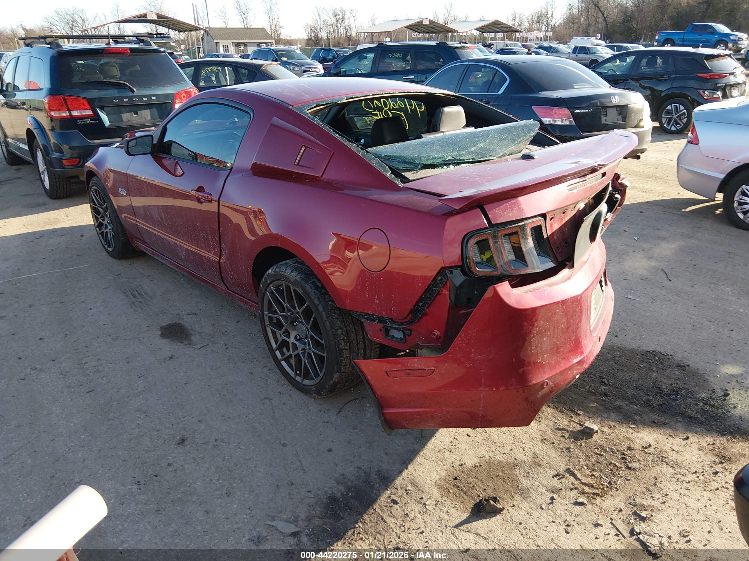 FORD MUSTANG image 3