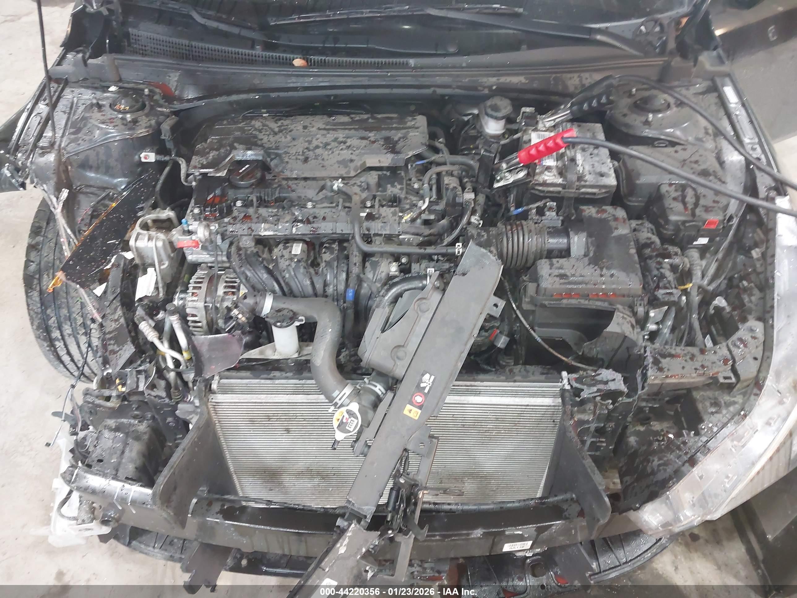 HYUNDAI ELANTRA image 10