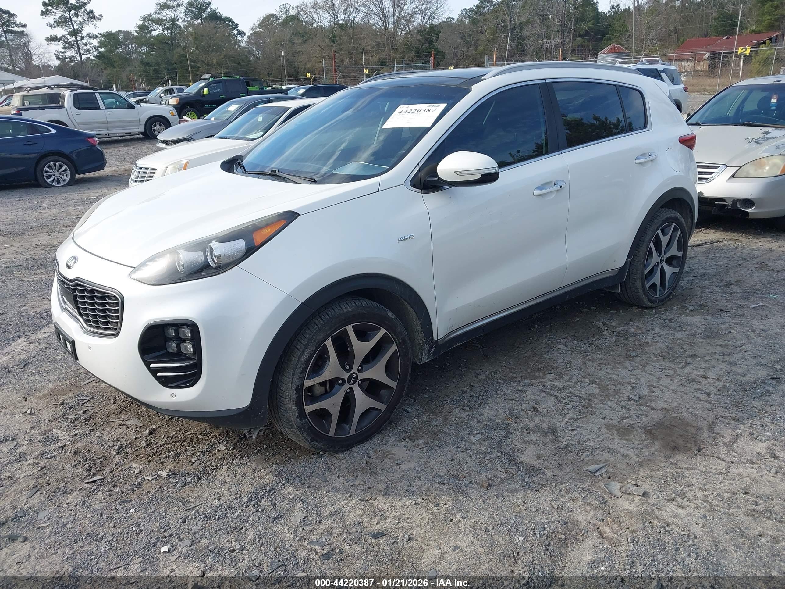 KIA SPORTAGE image 2