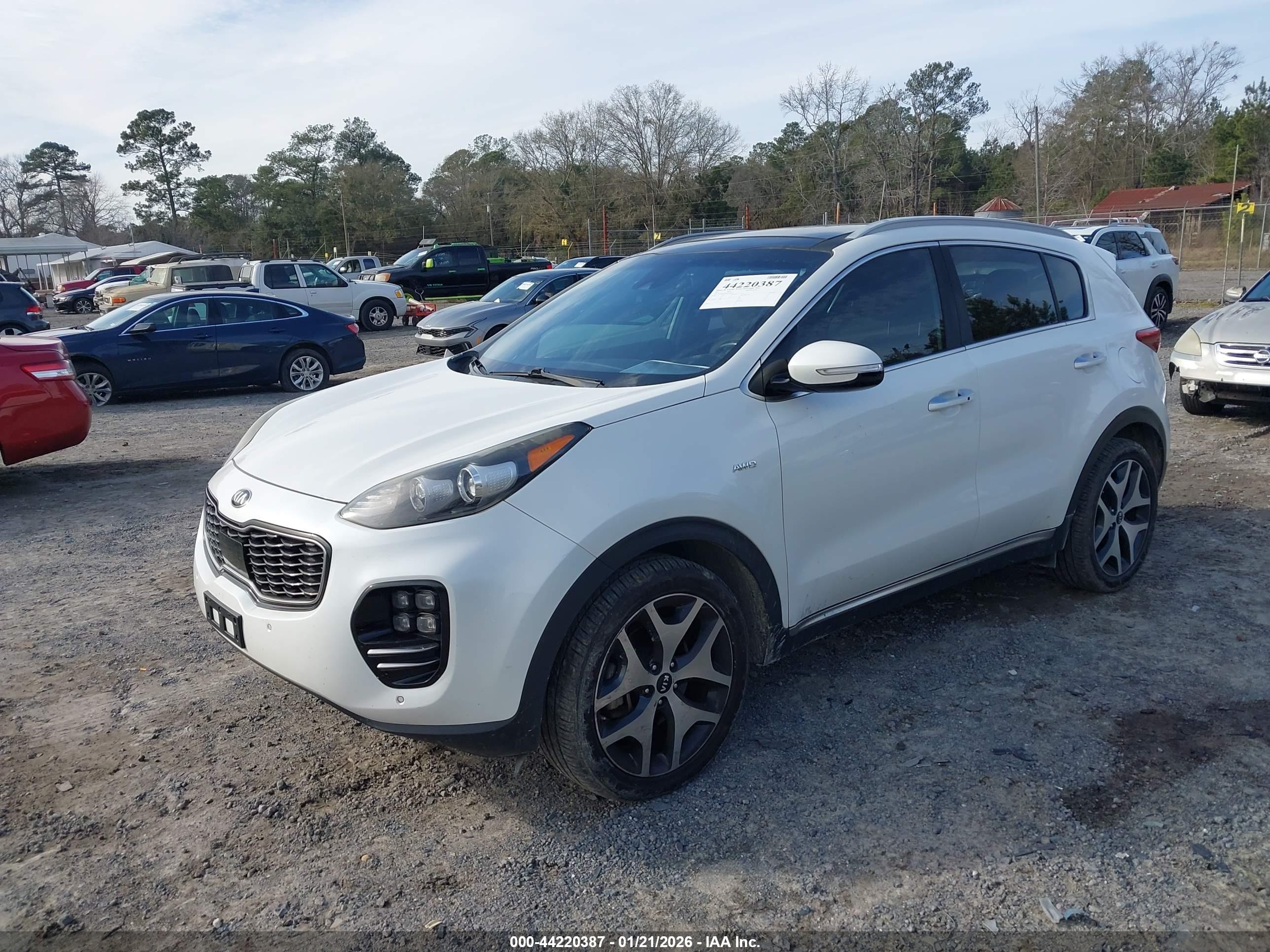 KIA SPORTAGE image 6