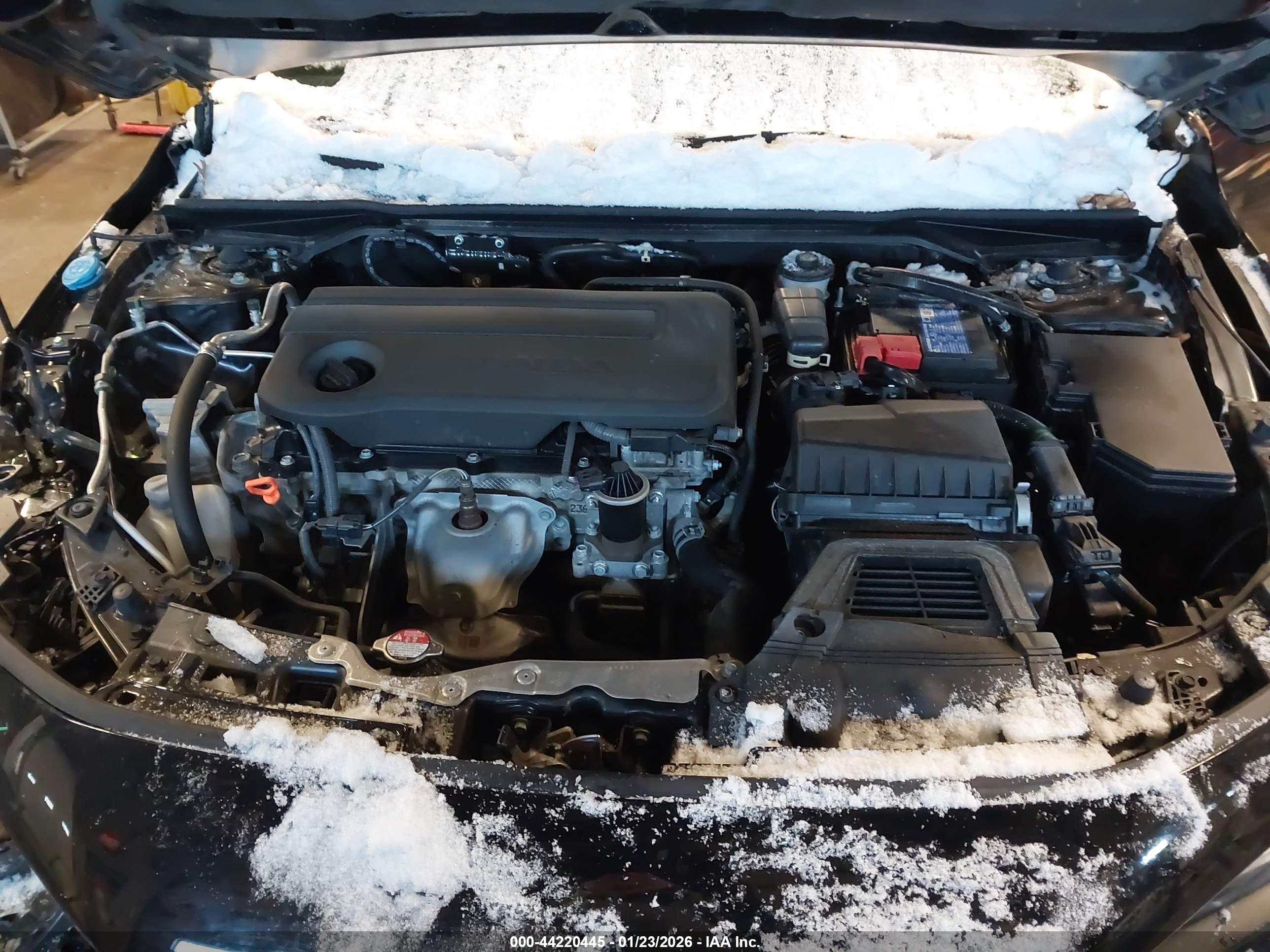HONDA CIVIC image 10